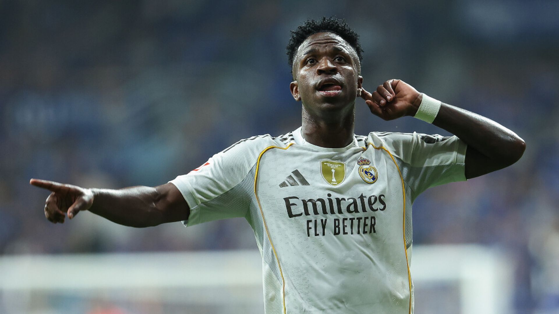 vini_rmjpg.jpg vini_rmjpg.jpg