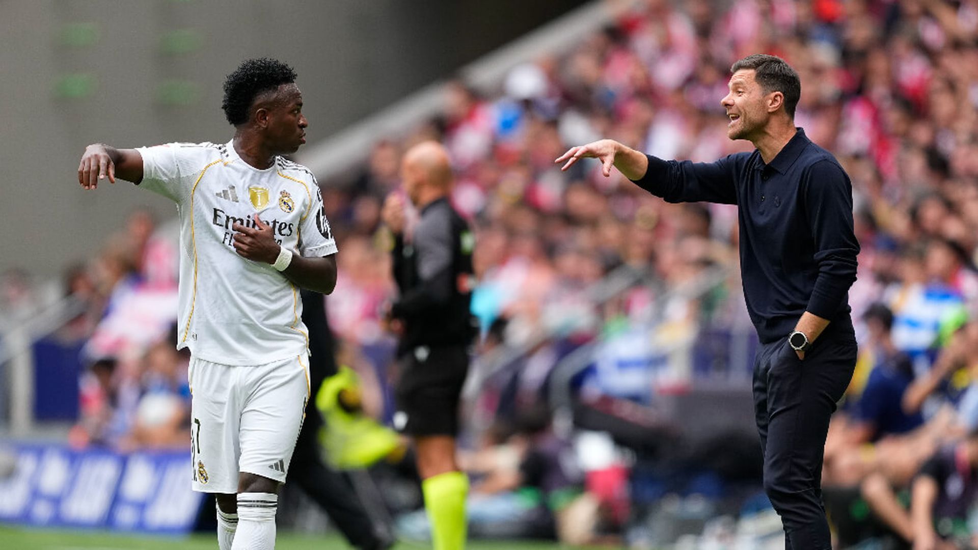 vini_xabijpg_001.jpg vini_xabijpg_001.jpg