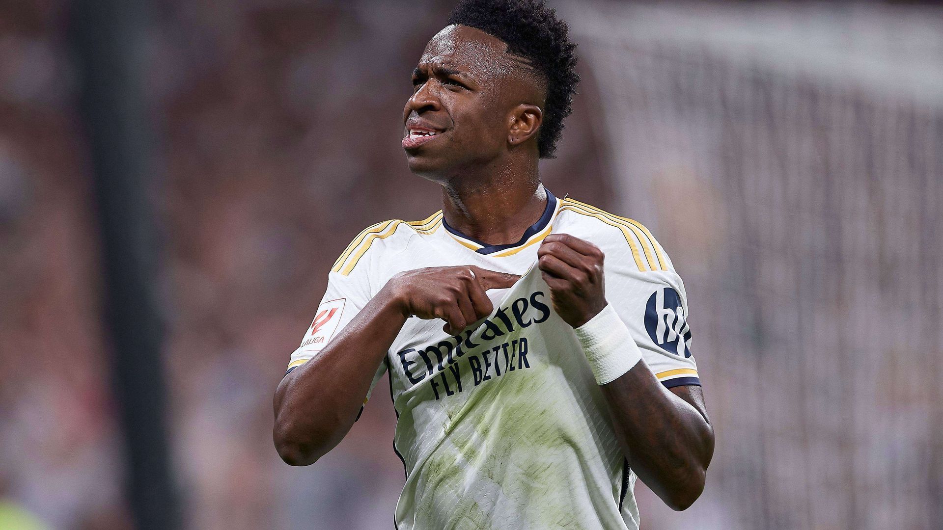 vinijpeg.jpeg vinijpeg.jpeg