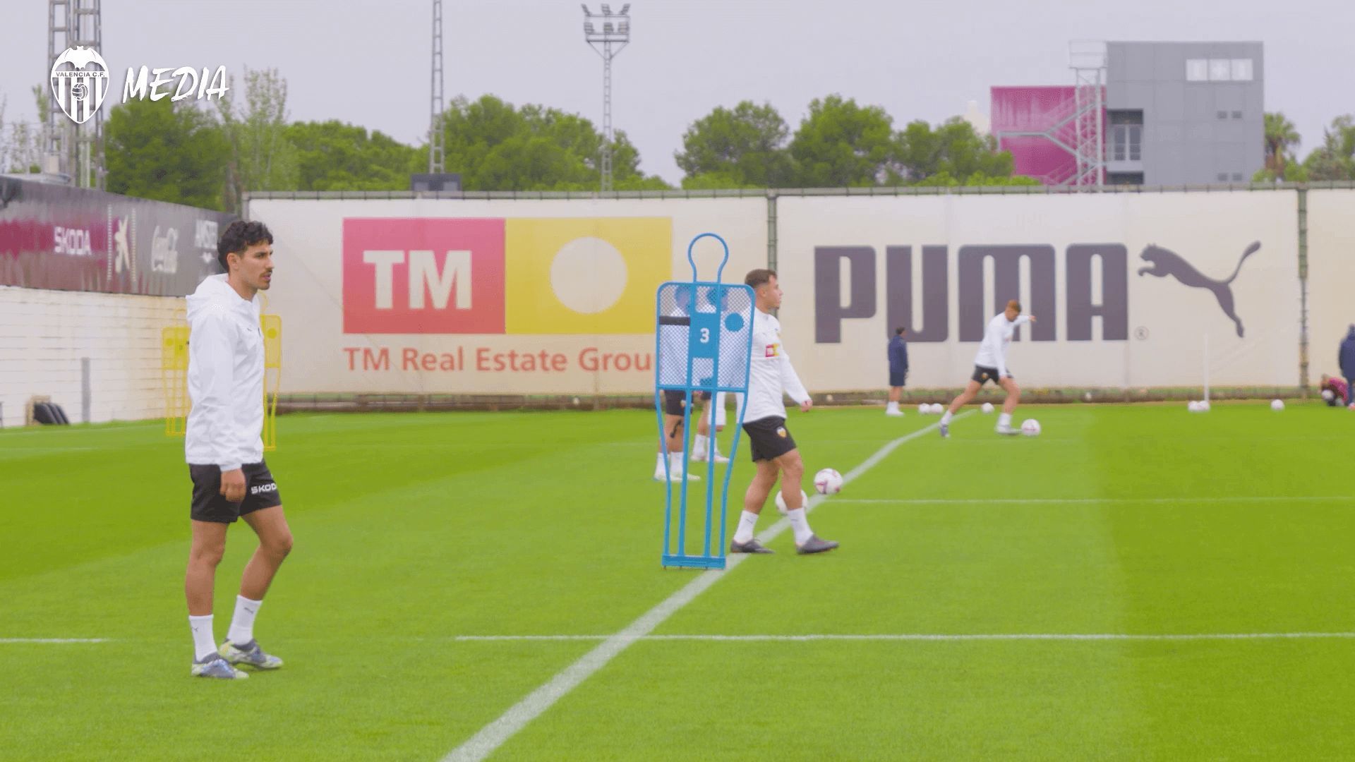 vlcsnap_2024_11_13_14h50m38s795png.png vlcsnap_2024_11_13_14h50m38s795png.png