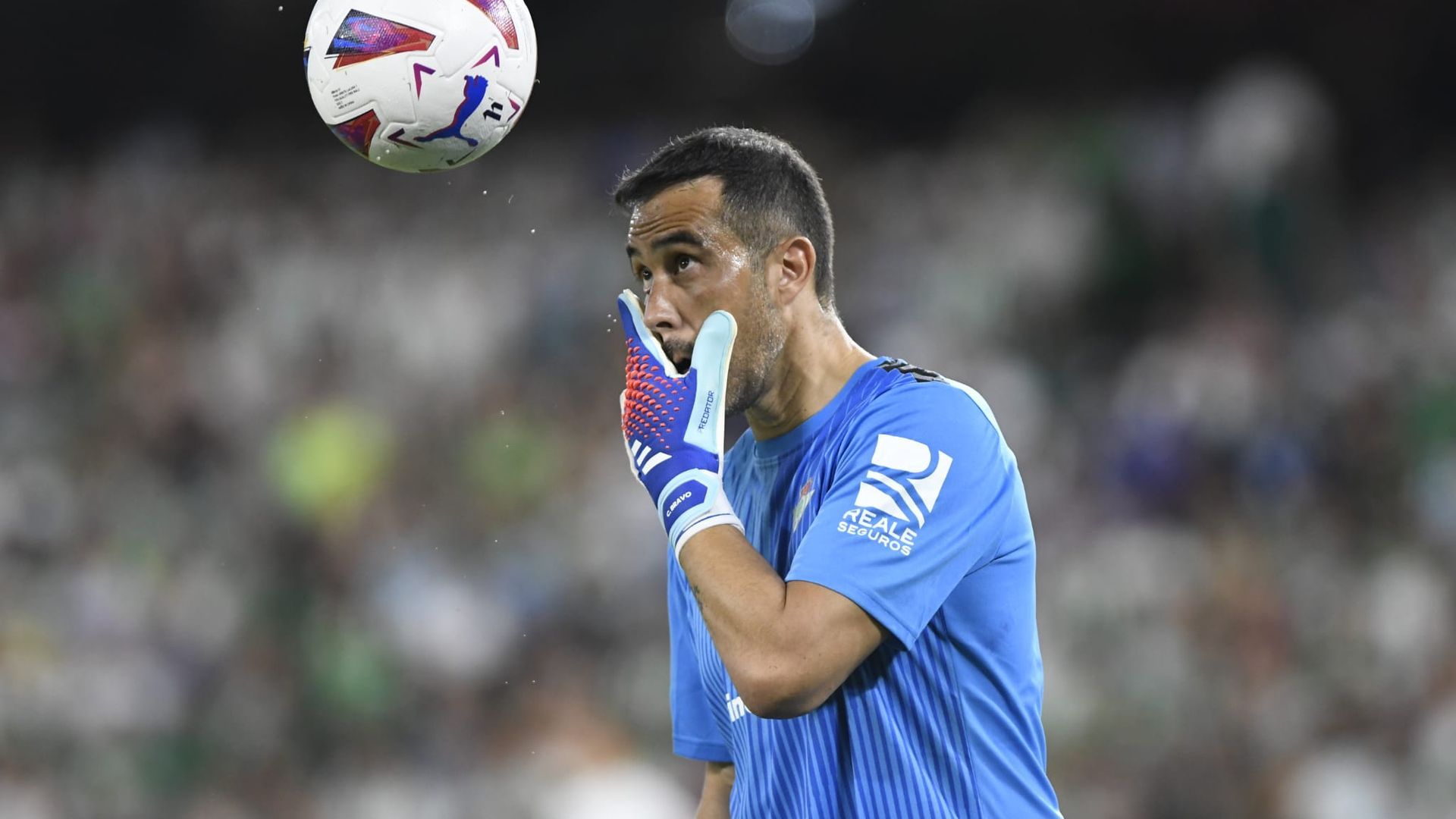 whatsapp_image_2023_10_01_at_230219jpeg.jpeg whatsapp_image_2023_10_01_at_230219jpeg.jpeg