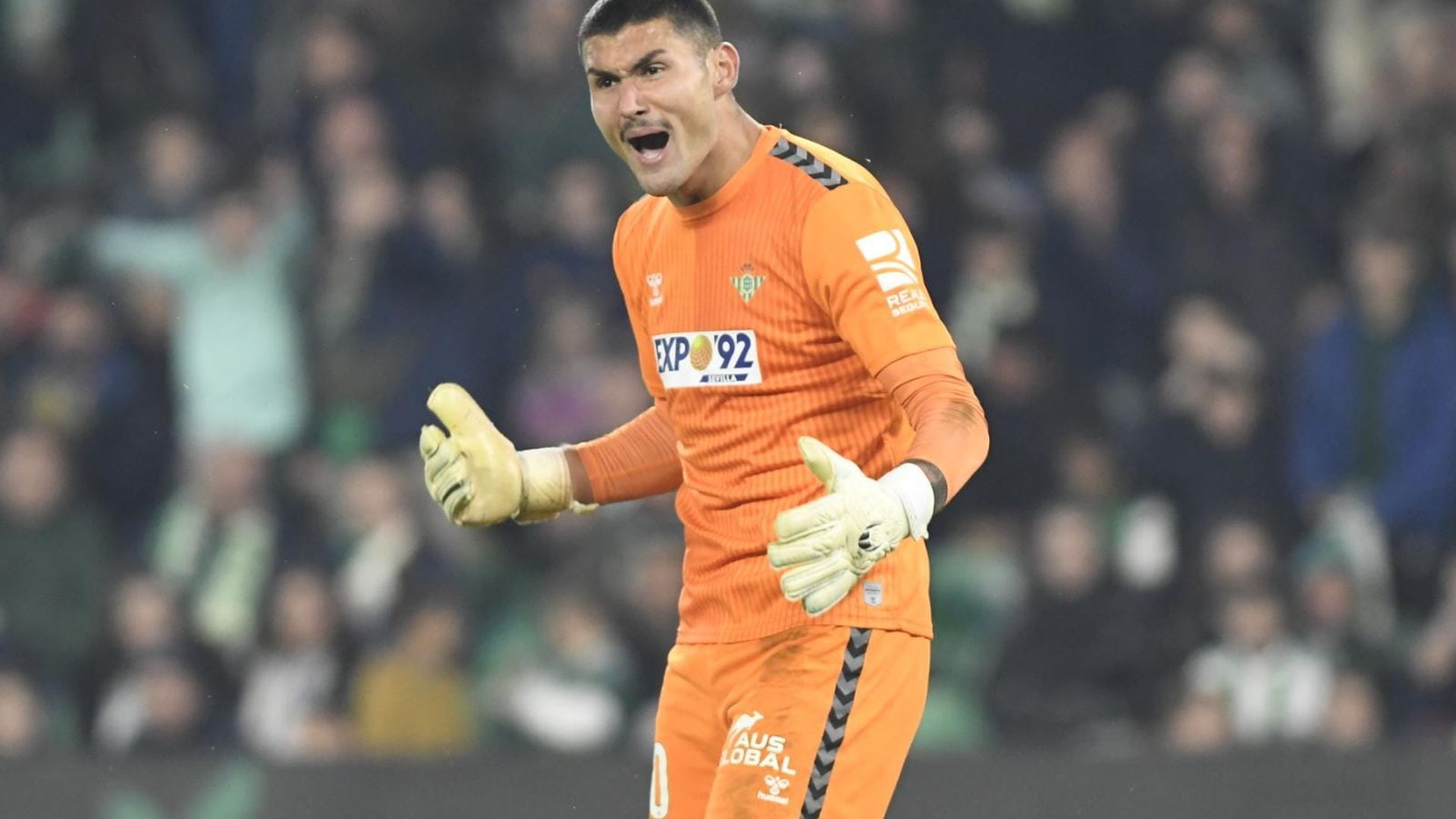 whatsapp_image_2023_11_26_at_225304jpeg.jpeg whatsapp_image_2023_11_26_at_225304jpeg.jpeg