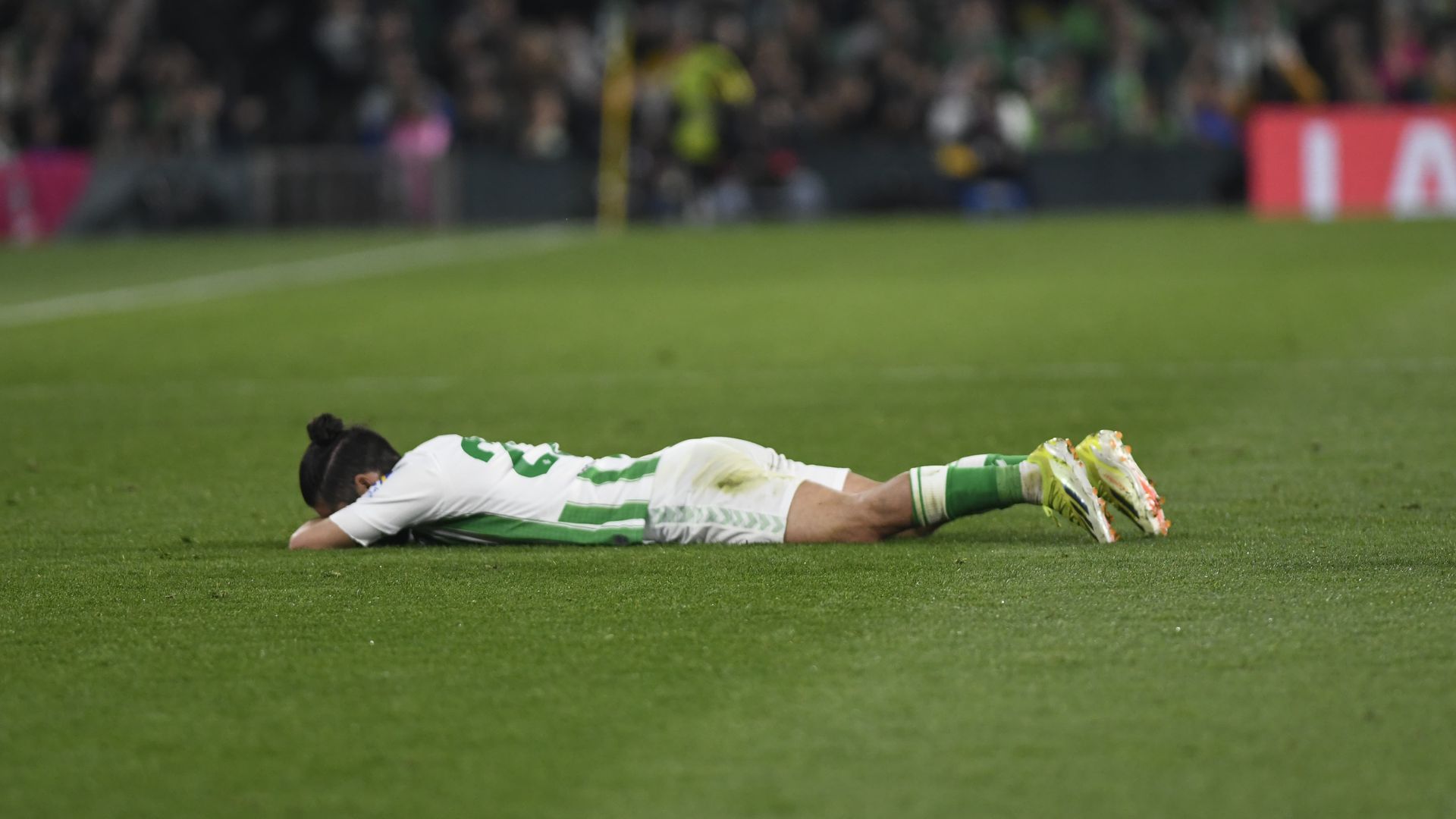 whatsapp_image_2024_02_04_at_193018_1jpeg.jpeg whatsapp_image_2024_02_04_at_193018_1jpeg.jpeg