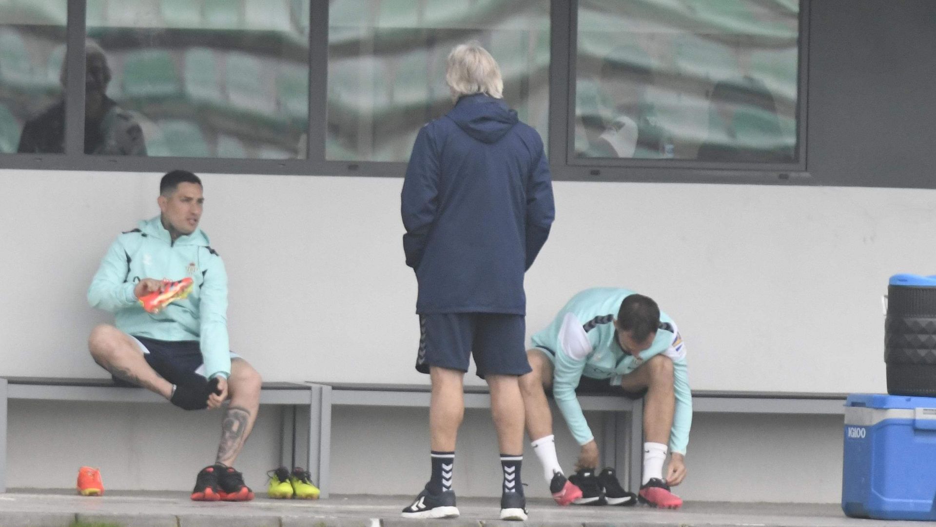 whatsapp_image_2024_02_08_at_120537.jpeg whatsapp_image_2024_02_08_at_120537.jpeg