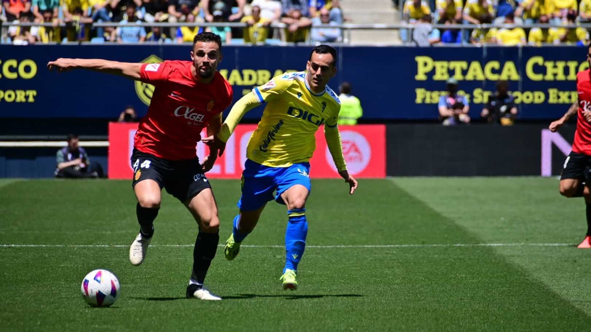 whatsapp_image_2024_04_28_at_145534.jpeg whatsapp_image_2024_04_28_at_145534.jpeg