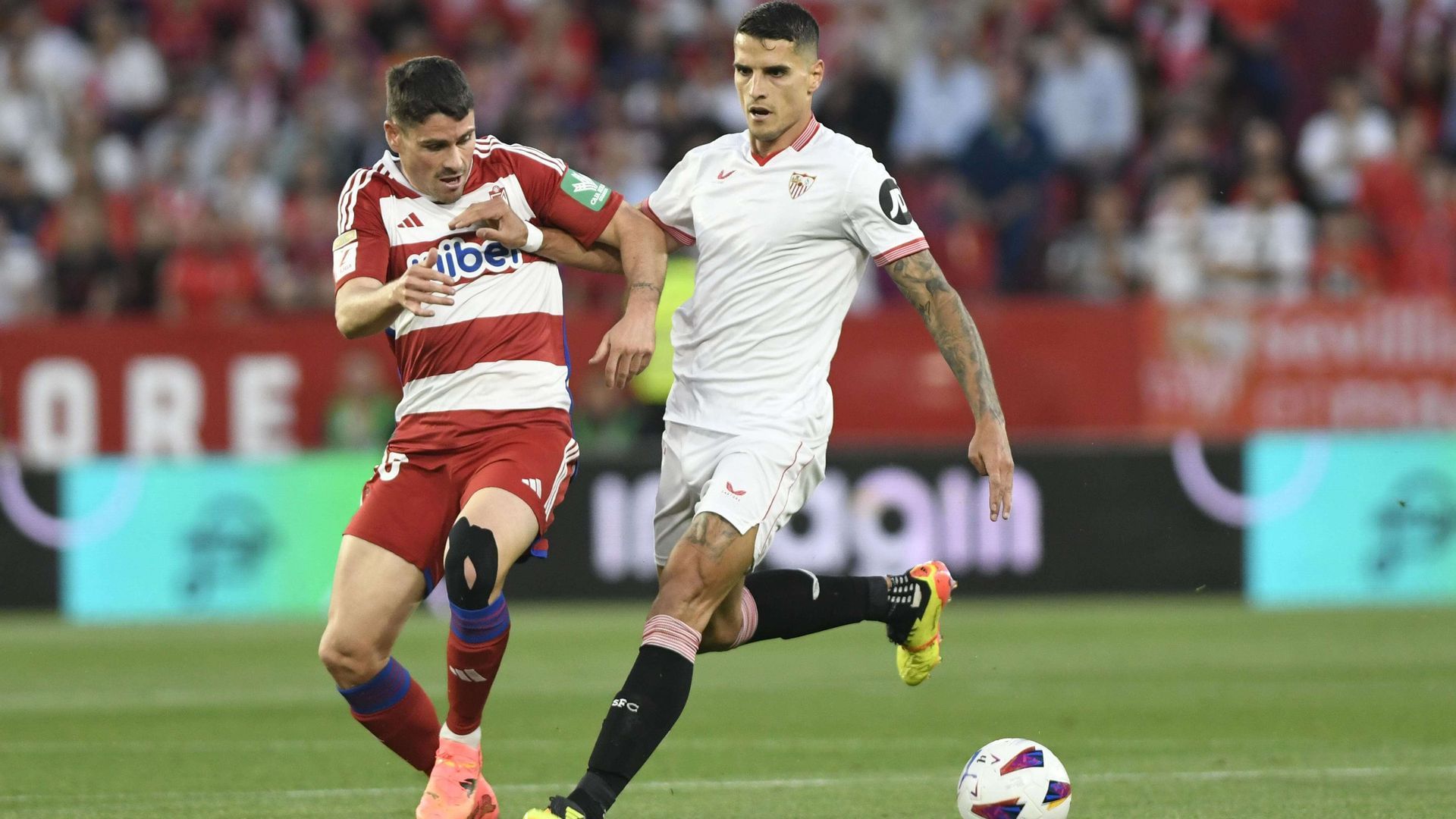 whatsapp_image_2024_05_05_at_212530.jpeg whatsapp_image_2024_05_05_at_212530.jpeg