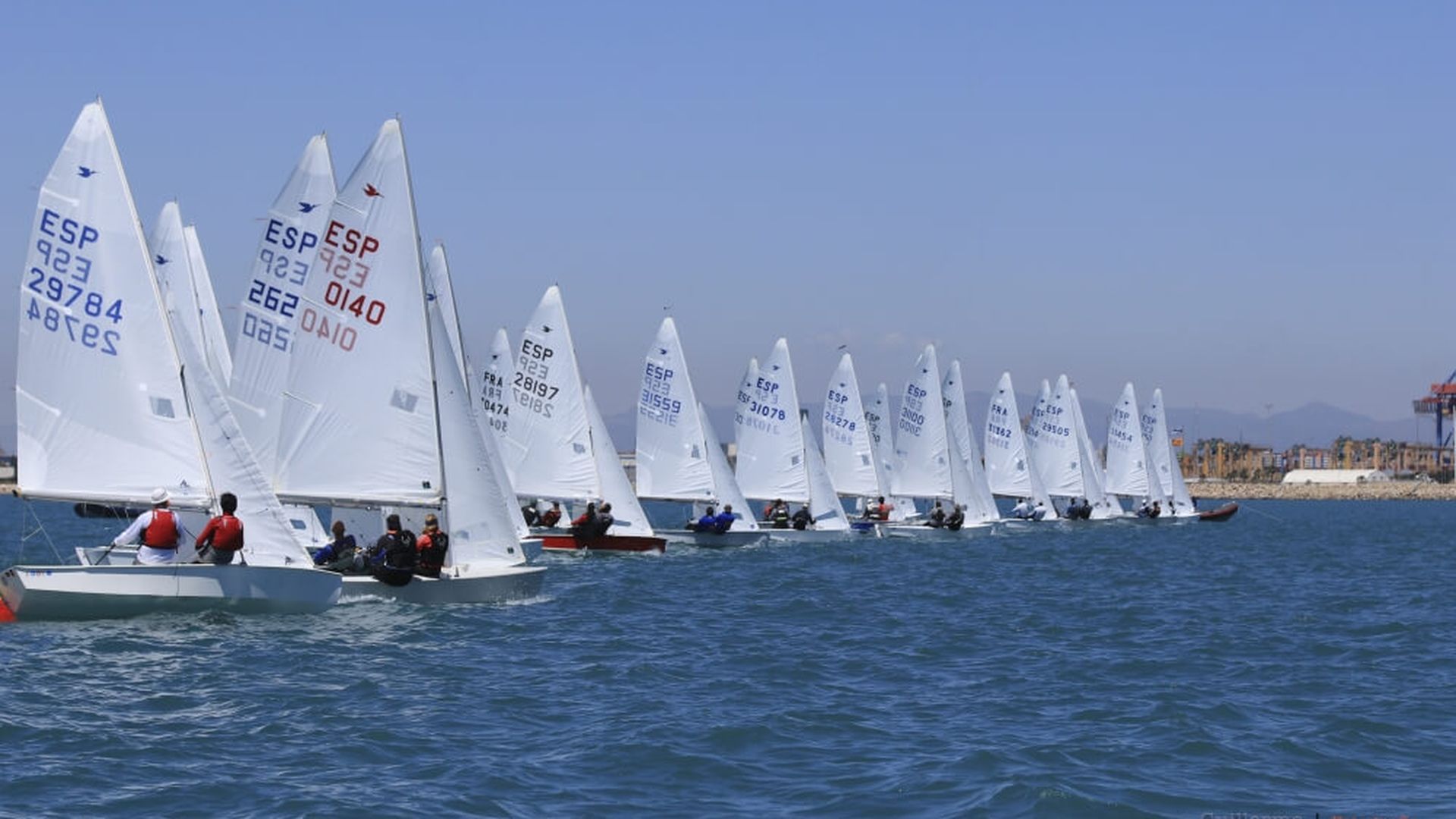 whatsapp_image_2024_06_10_at_181328jpeg.jpeg whatsapp_image_2024_06_10_at_181328jpeg.jpeg