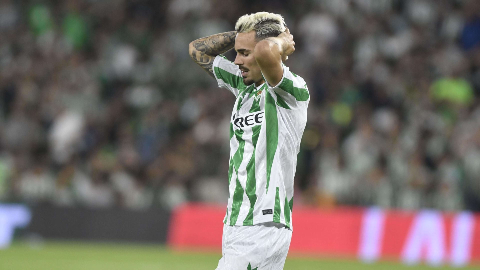 whatsapp_image_2024_08_15_at_231158jpeg.jpeg whatsapp_image_2024_08_15_at_231158jpeg.jpeg