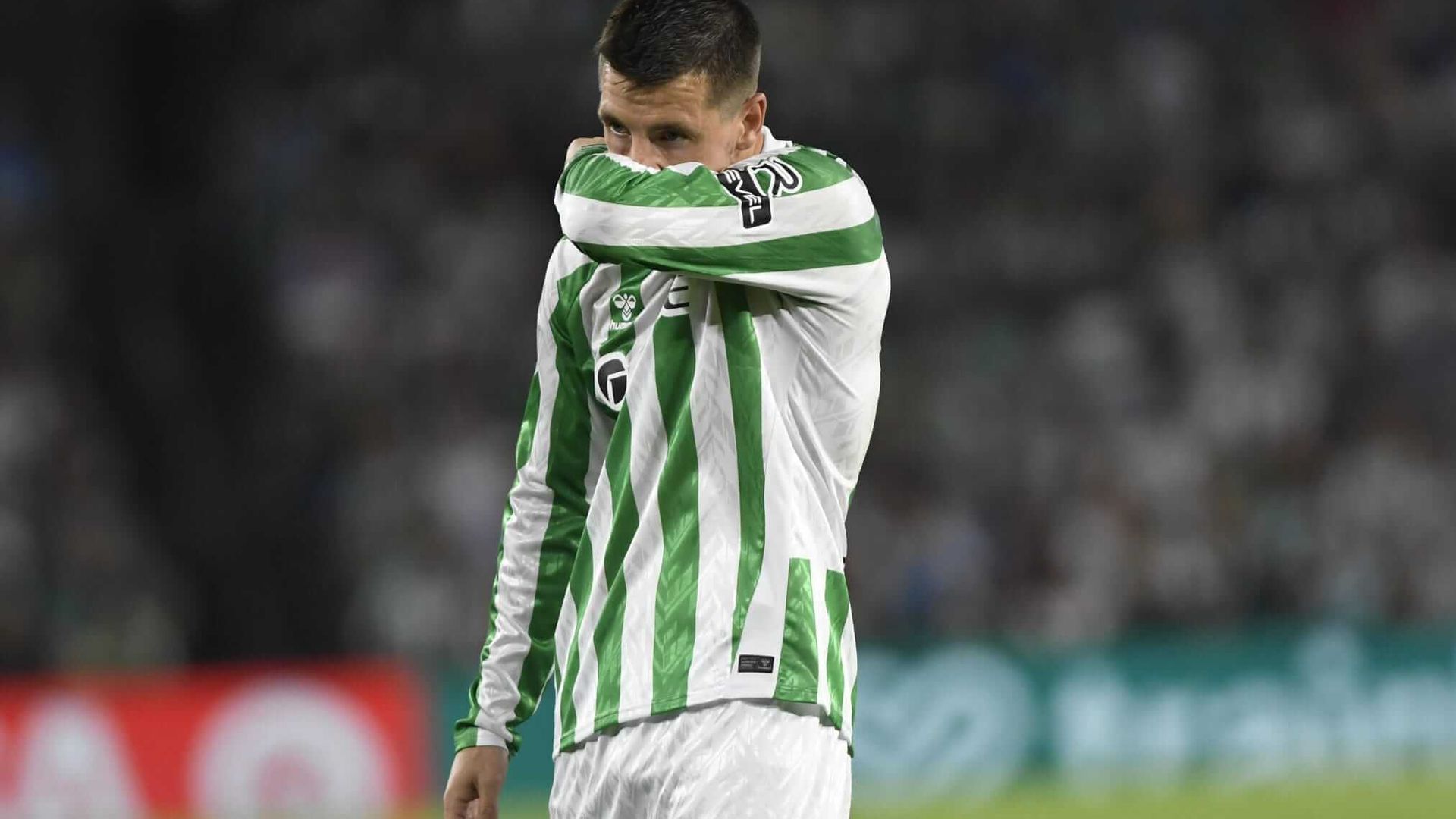 whatsapp_image_2024_09_23_at_214620jpeg.jpeg whatsapp_image_2024_09_23_at_214620jpeg.jpeg