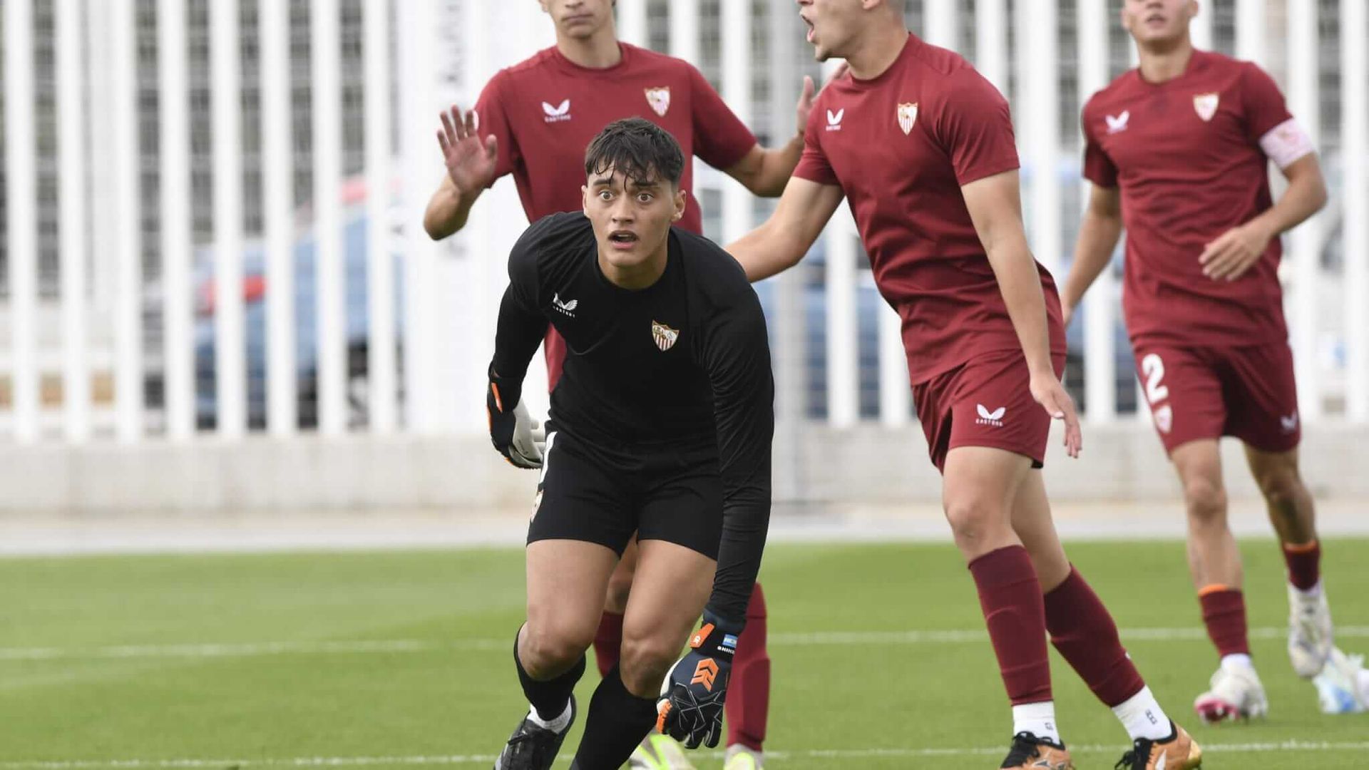 whatsapp_image_2024_10_26_at_150555jpeg.jpeg whatsapp_image_2024_10_26_at_150555jpeg.jpeg