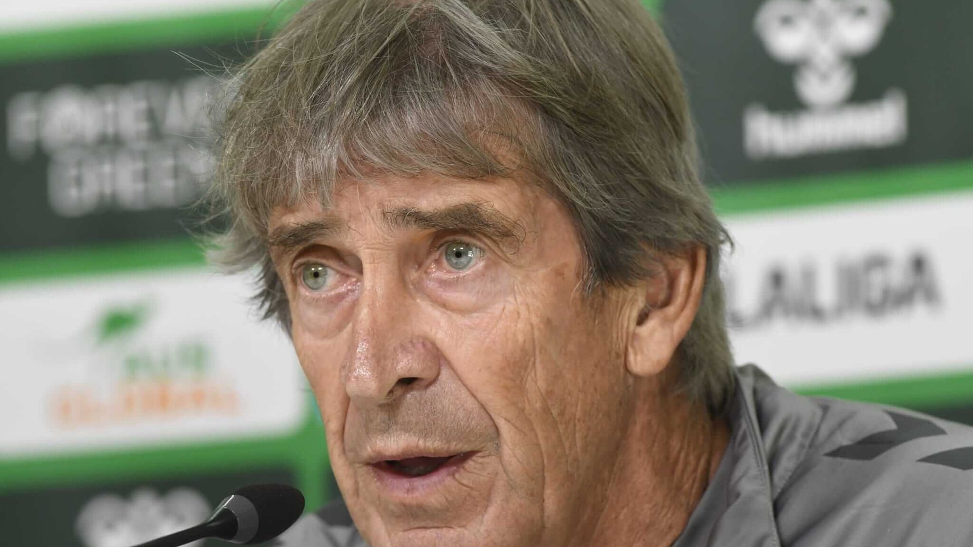 whatsapp_image_2024_11_30_at_124410jpeg.jpeg whatsapp_image_2024_11_30_at_124410jpeg.jpeg