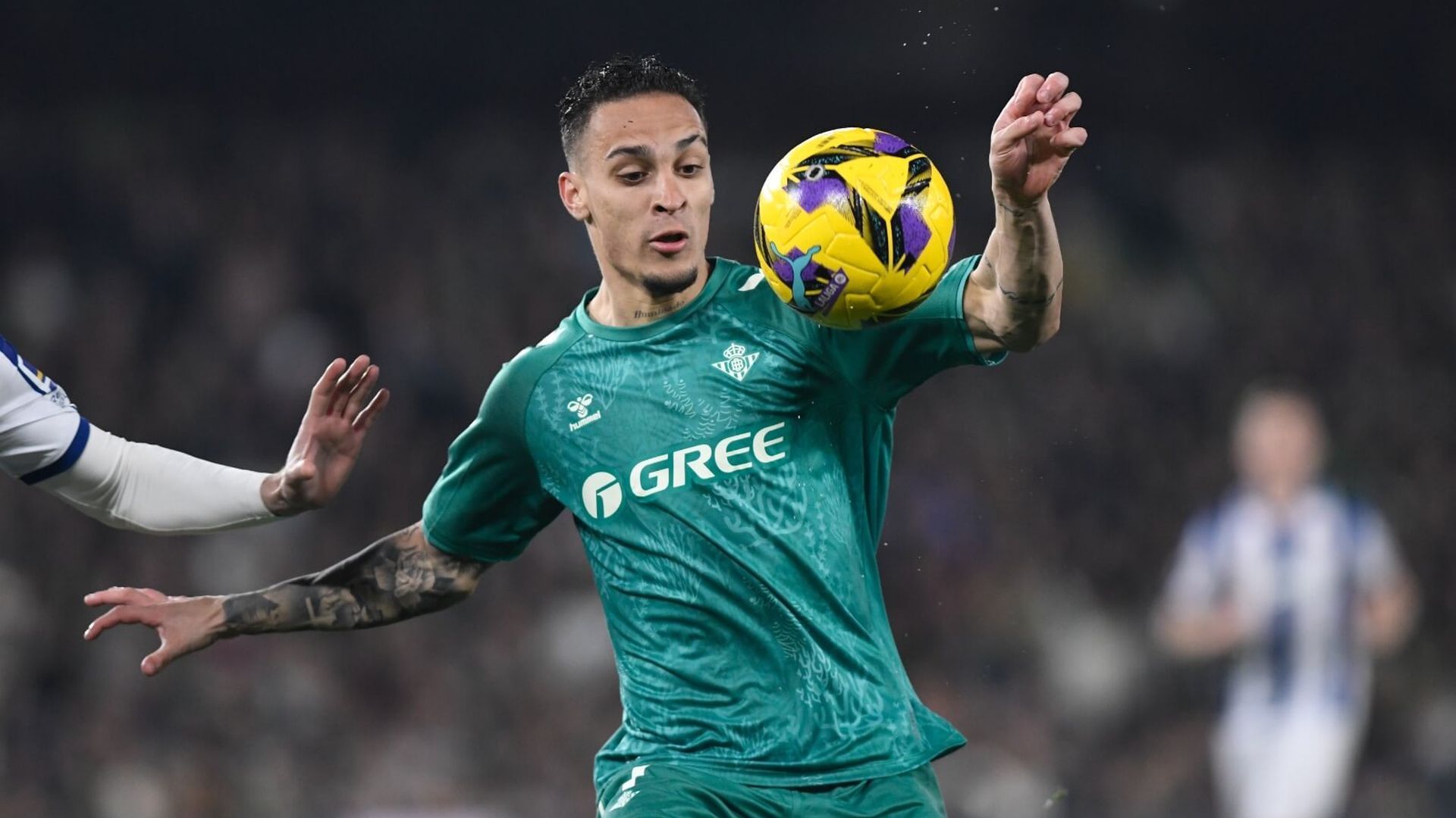 whatsapp_image_2025_02_16_at_222207jpeg.jpeg whatsapp_image_2025_02_16_at_222207jpeg.jpeg