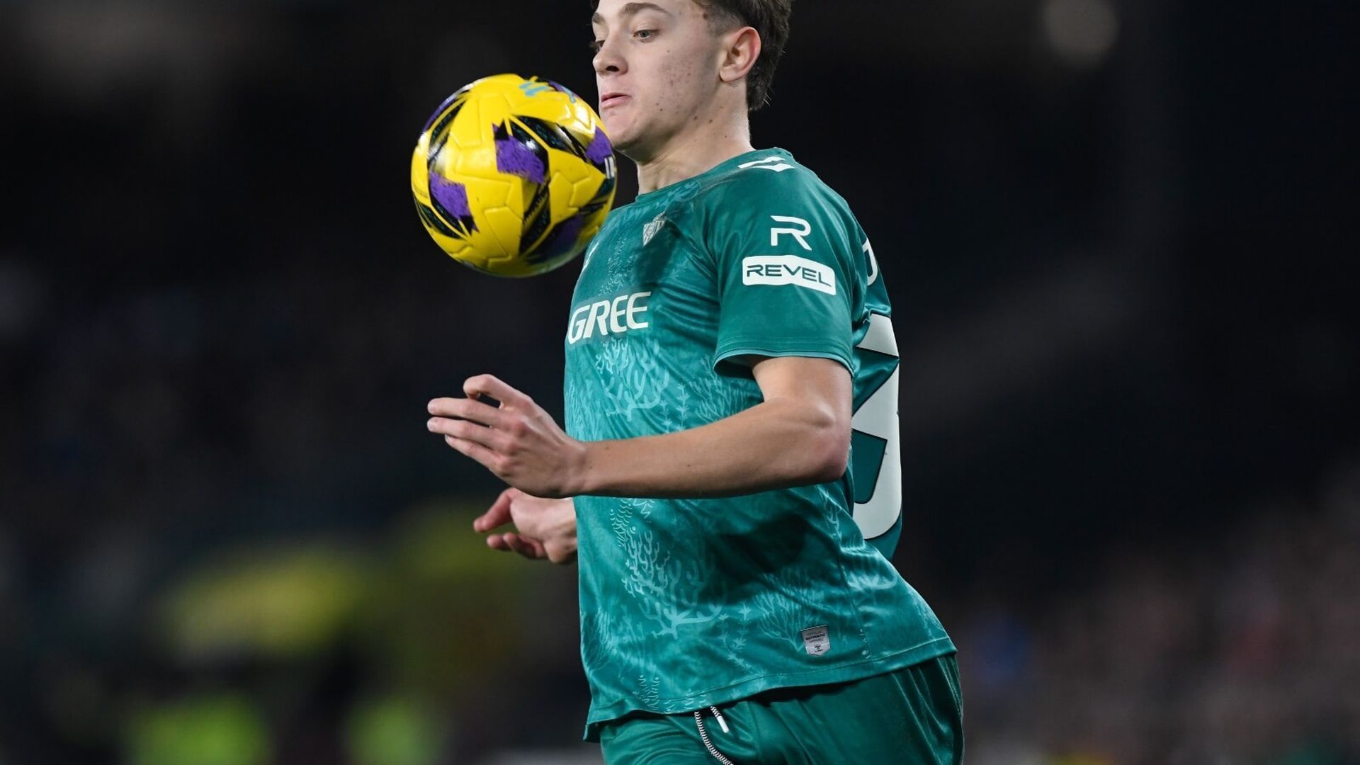 whatsapp_image_2025_02_16_at_222700_3jpeg.jpeg whatsapp_image_2025_02_16_at_222700_3jpeg.jpeg