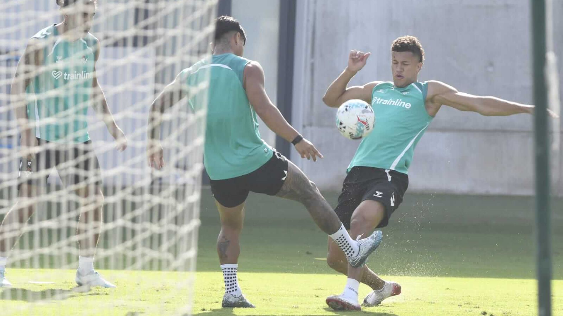 whatsapp_image_2025_08_25_at_110413jpeg.jpeg whatsapp_image_2025_08_25_at_110413jpeg.jpeg