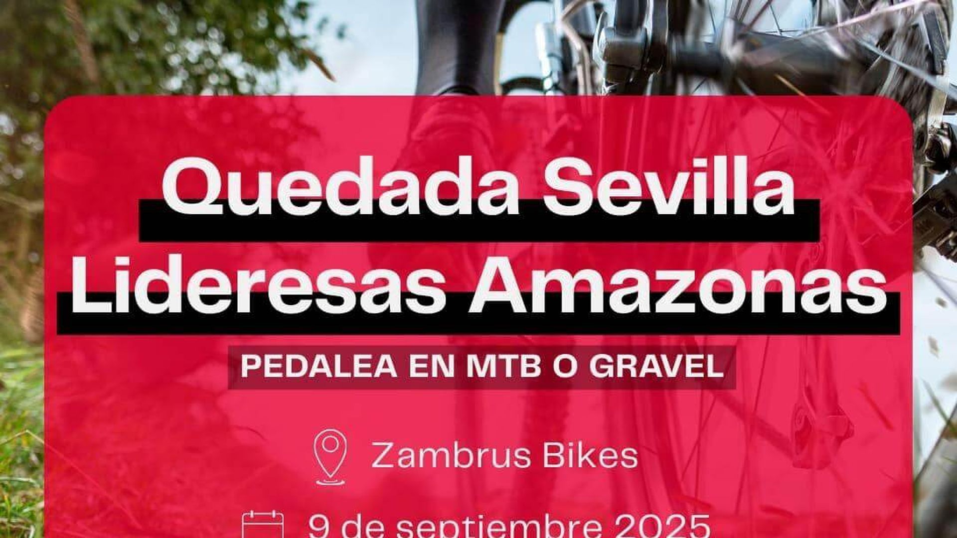 whatsapp_image_2025_09_05_at_124023.jpeg whatsapp_image_2025_09_05_at_124023.jpeg