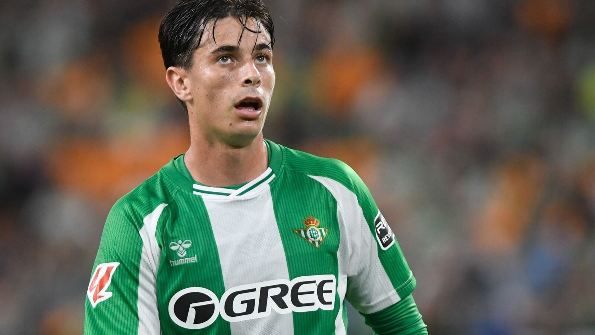 whatsapp_image_2025_09_28_at_214510jpeg_001.jpeg whatsapp_image_2025_09_28_at_214510jpeg_001.jpeg