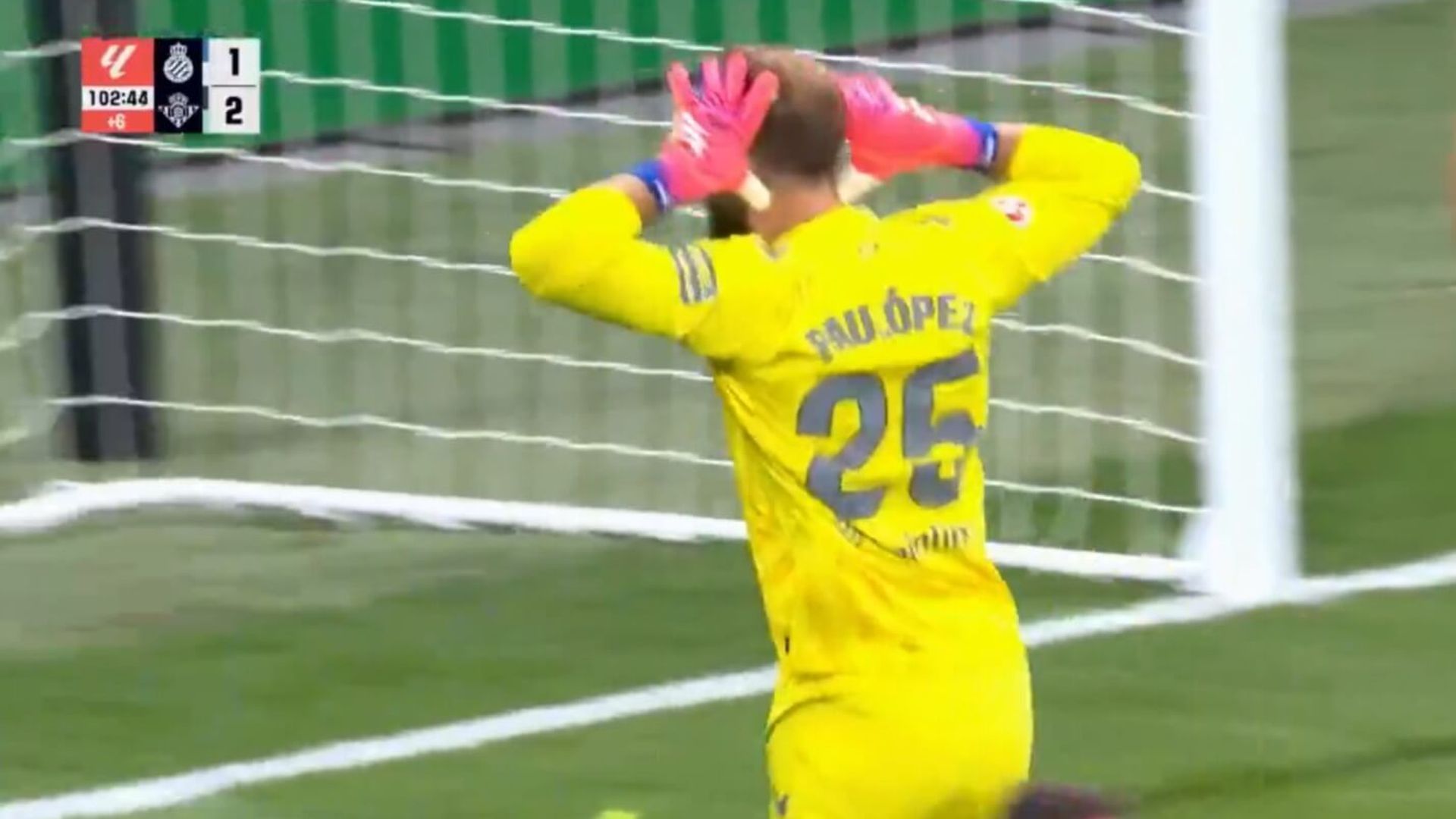 whatsapp_image_2025_10_05_at_204637jpeg.jpeg whatsapp_image_2025_10_05_at_204637jpeg.jpeg