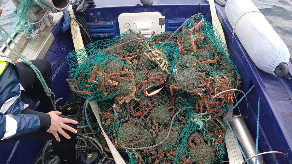 WhatsApp Image 2025-11-11 at 11.25.09