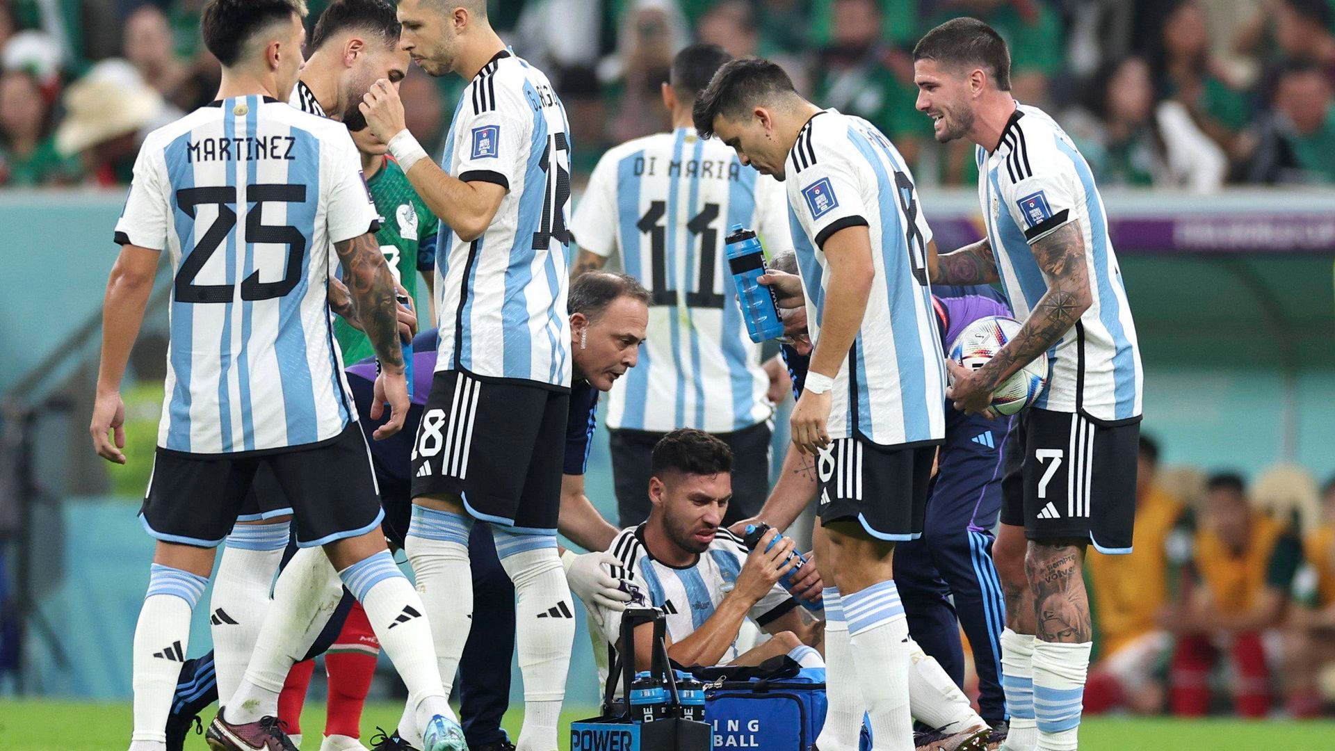 xxjpsee007289_20221127_pepfjpg.jpg xxjpsee007289_20221127_pepfjpg.jpg