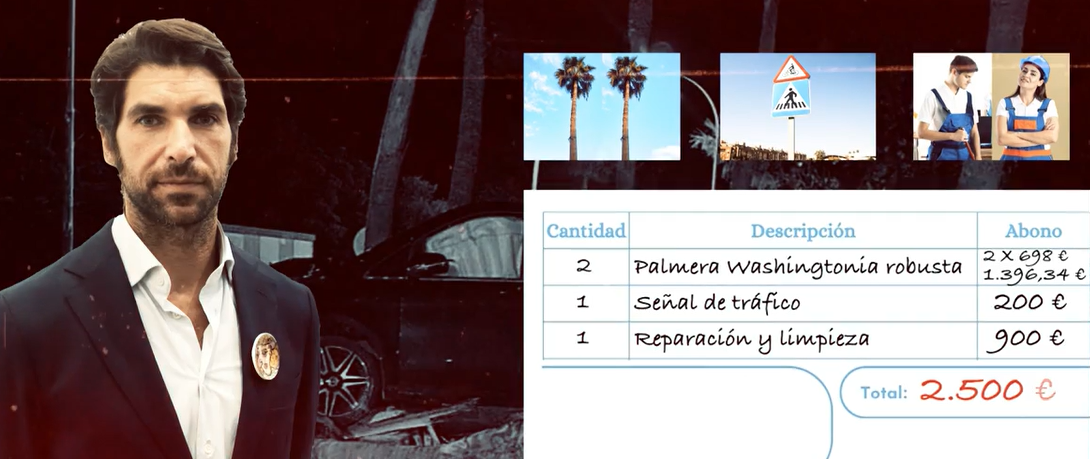 Una señal de tráfico, dos palmeras y la rotonda destrozada: El dinero que tendrá que pagar Cayetano Rivera tras el accidente