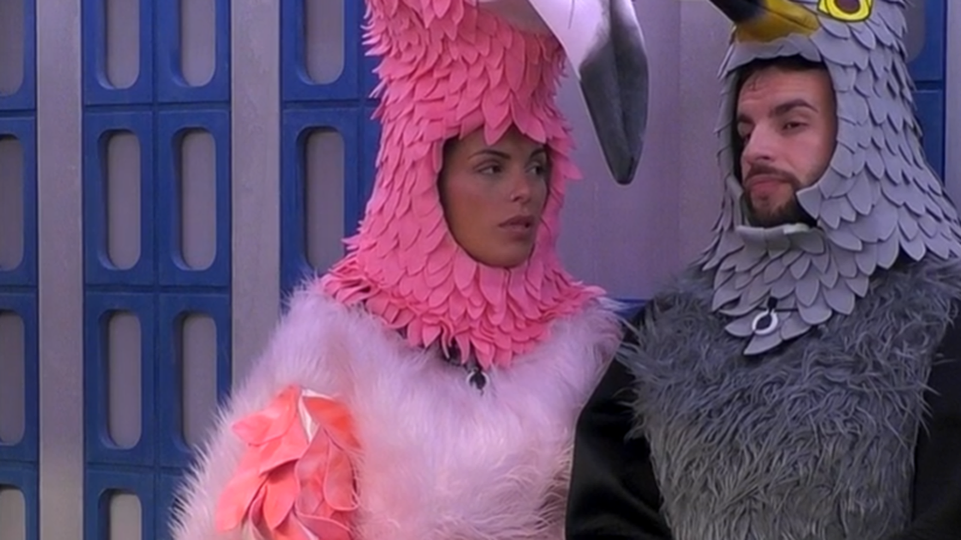 Carpeta aviar a la vista