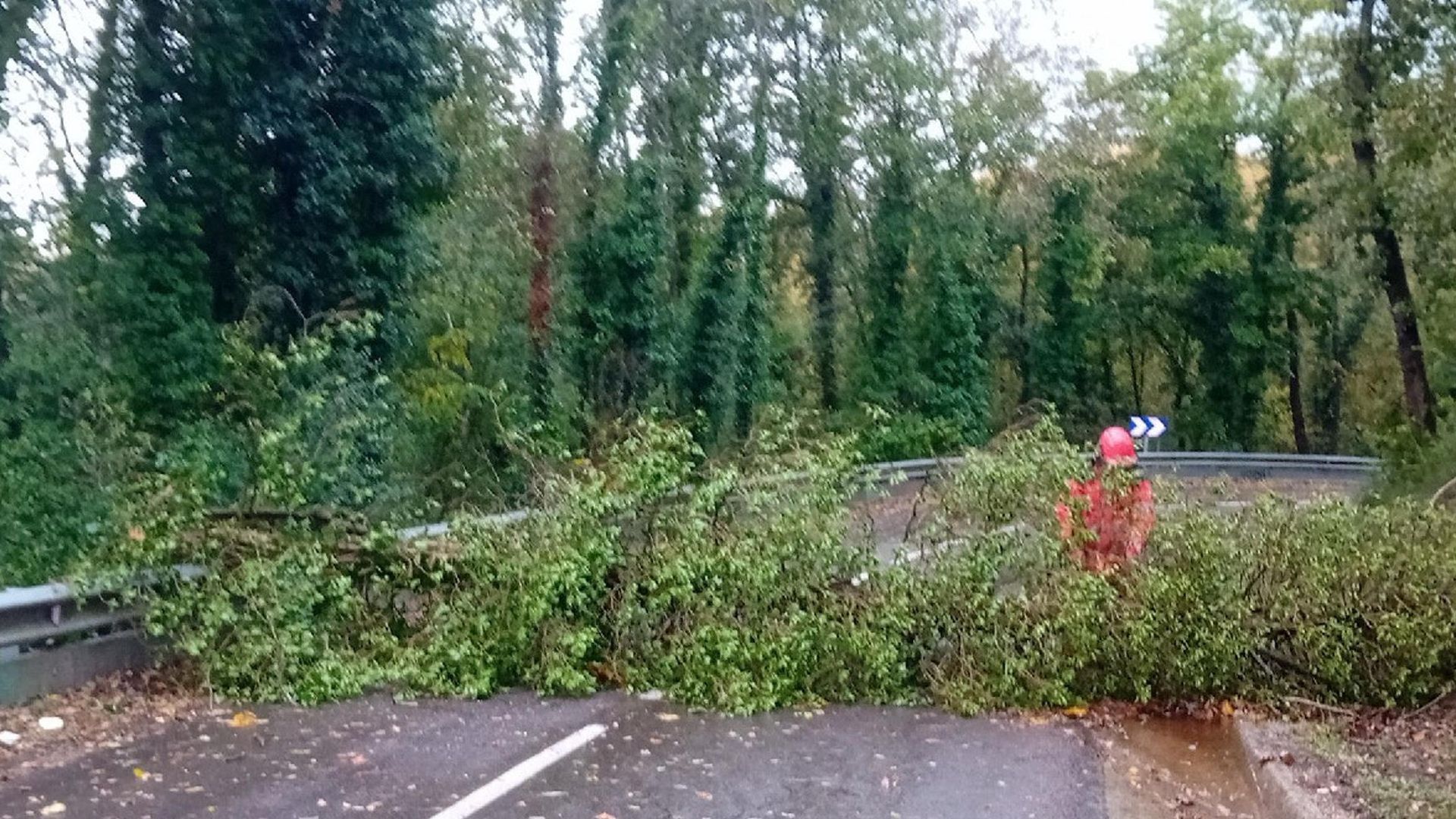 5ecc8659f6fbab5545117cf574647240e739e2d8w