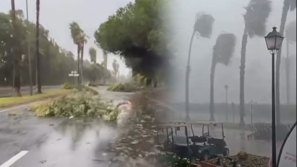 La borrasca Claudia pone en alerta naranja a Huelva: árboles arrancados, lluvias intensas y fuertes rachas de viento