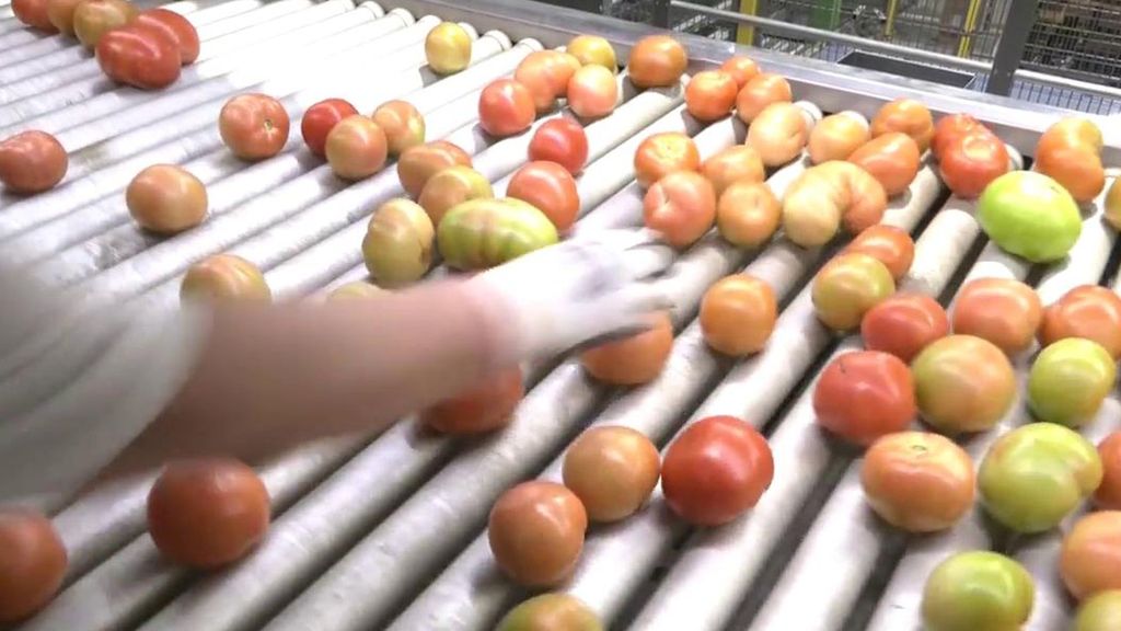 Descartamos la fruta fea porque compramos "con los ojos" y nos va a costar caro