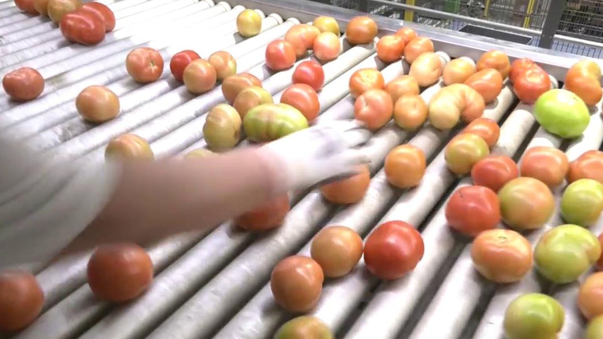 Descartamos la fruta fea porque compramos con los ojos y nos va a costar caro