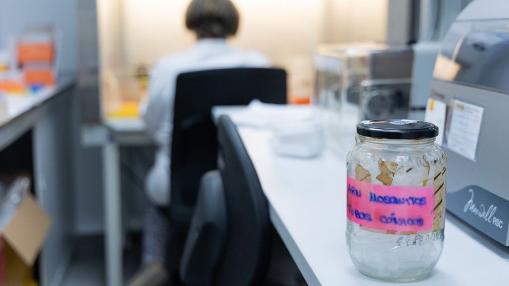 Imagen de un frasco con muestra del virus del Nilo