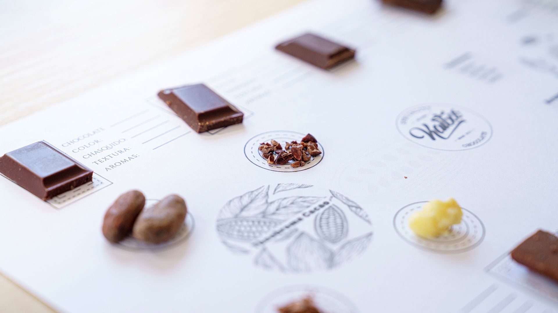 Todo preparado antes de arrancar una de sus catas