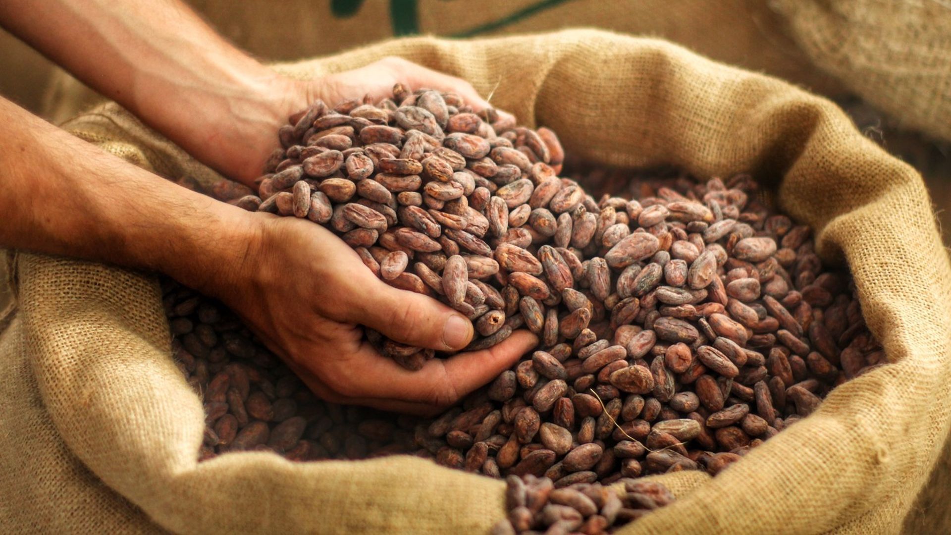 77151cab-fe11-43a4-aa61-06e005873bb7