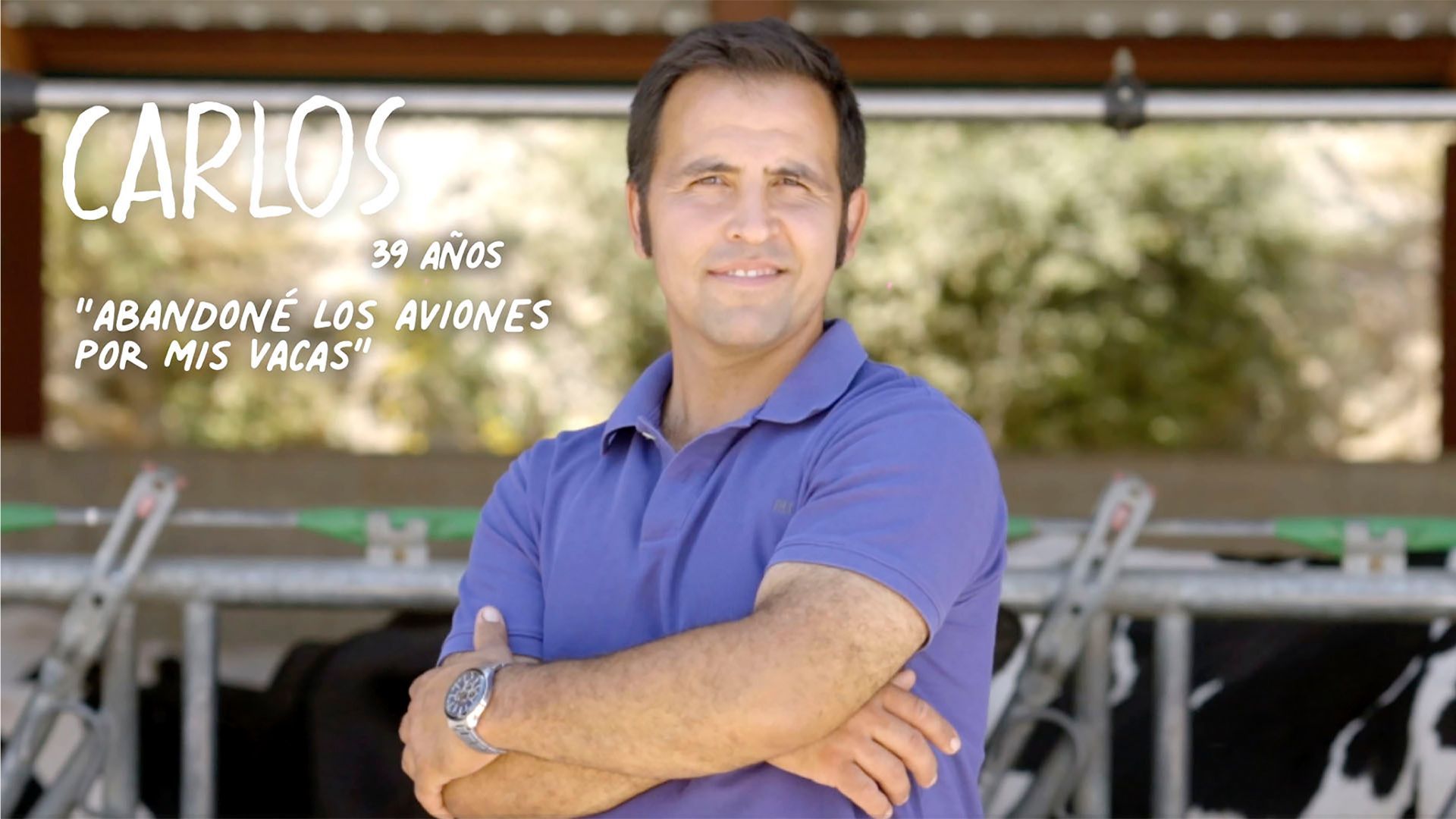 Carlos: "Abandoné los aviones por mis vacas"