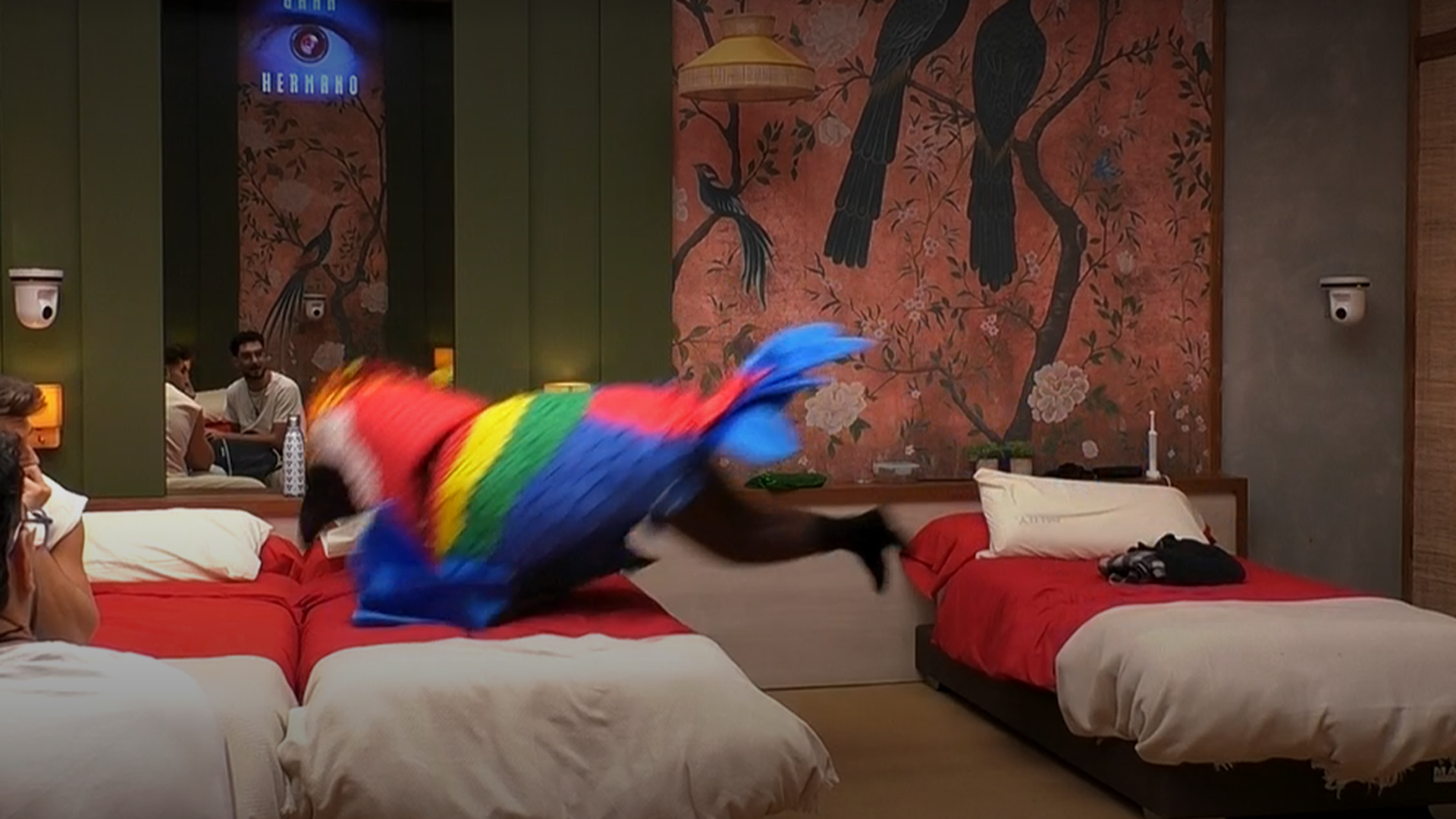 Paula se lanza de una cama a otra