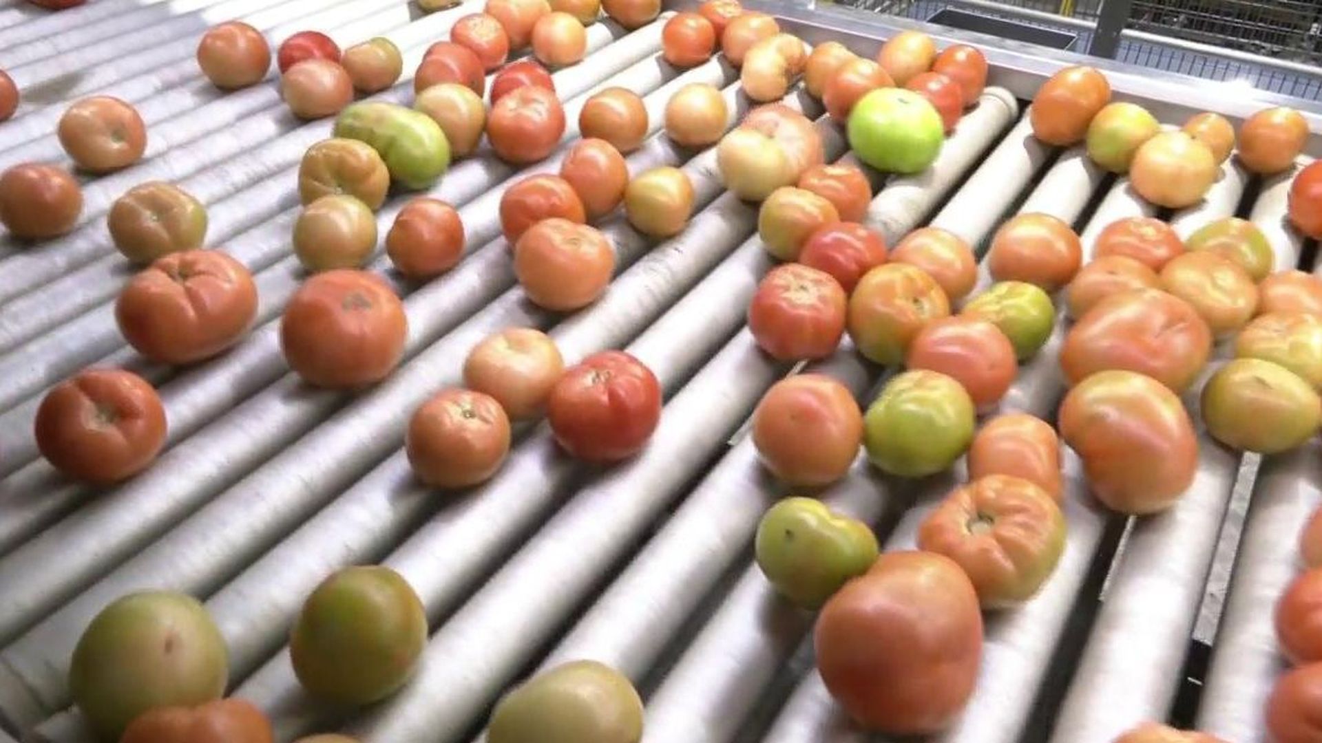 Tirar fruta y verdura por su aspecto sale caro