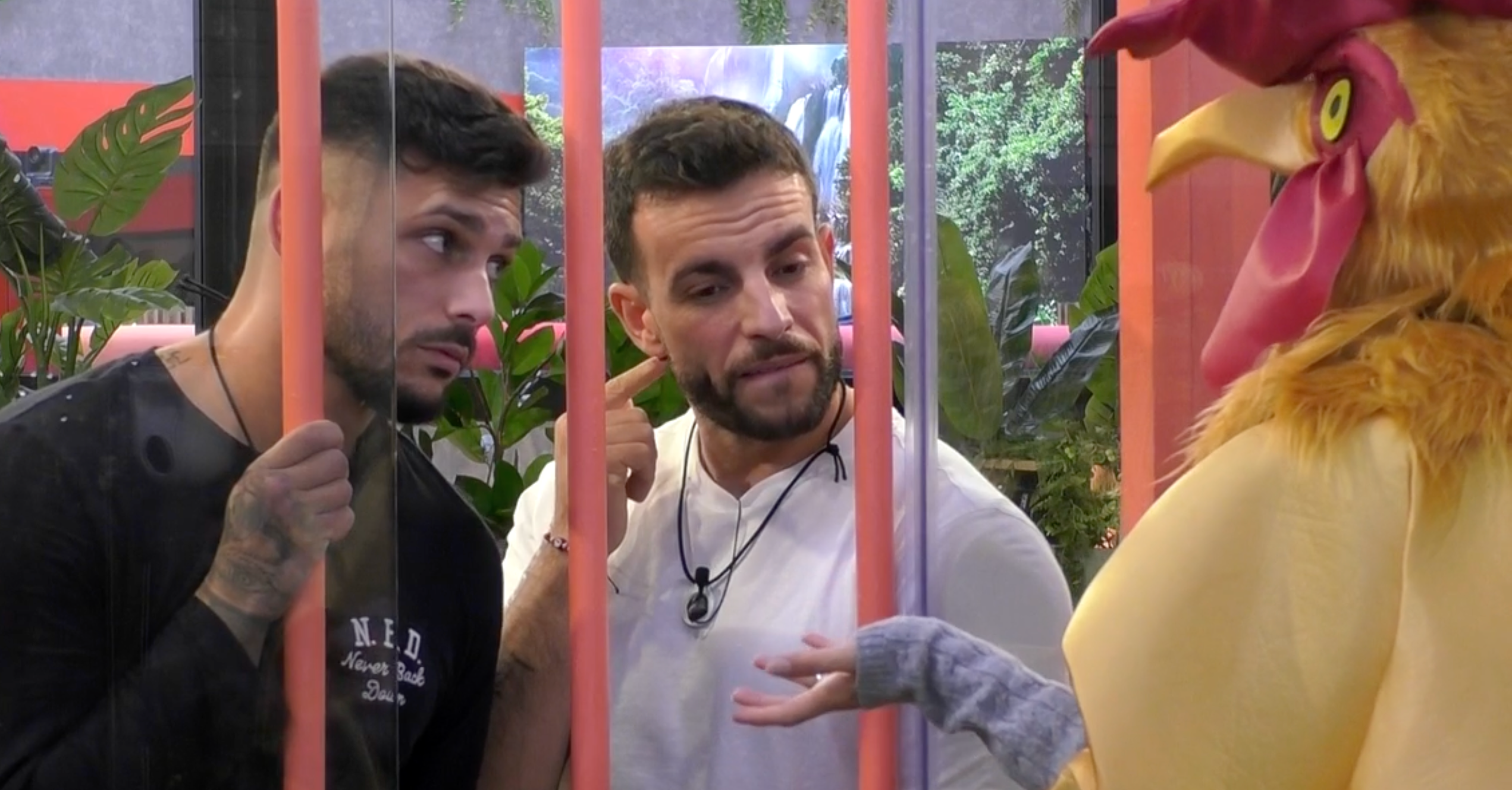 Jonay e Íñigo dan las buenas noches a Patricia