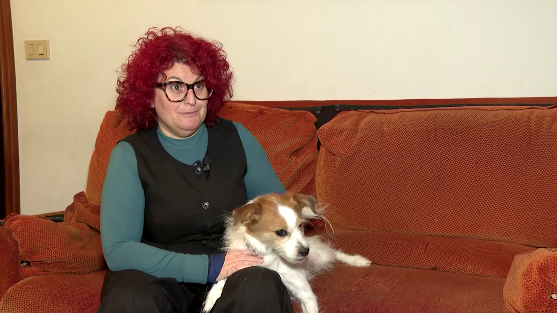 Machi, un perro adiestrado para detectar episodios de hipoglucemia, ha salvado varias veces la vida de su dueña