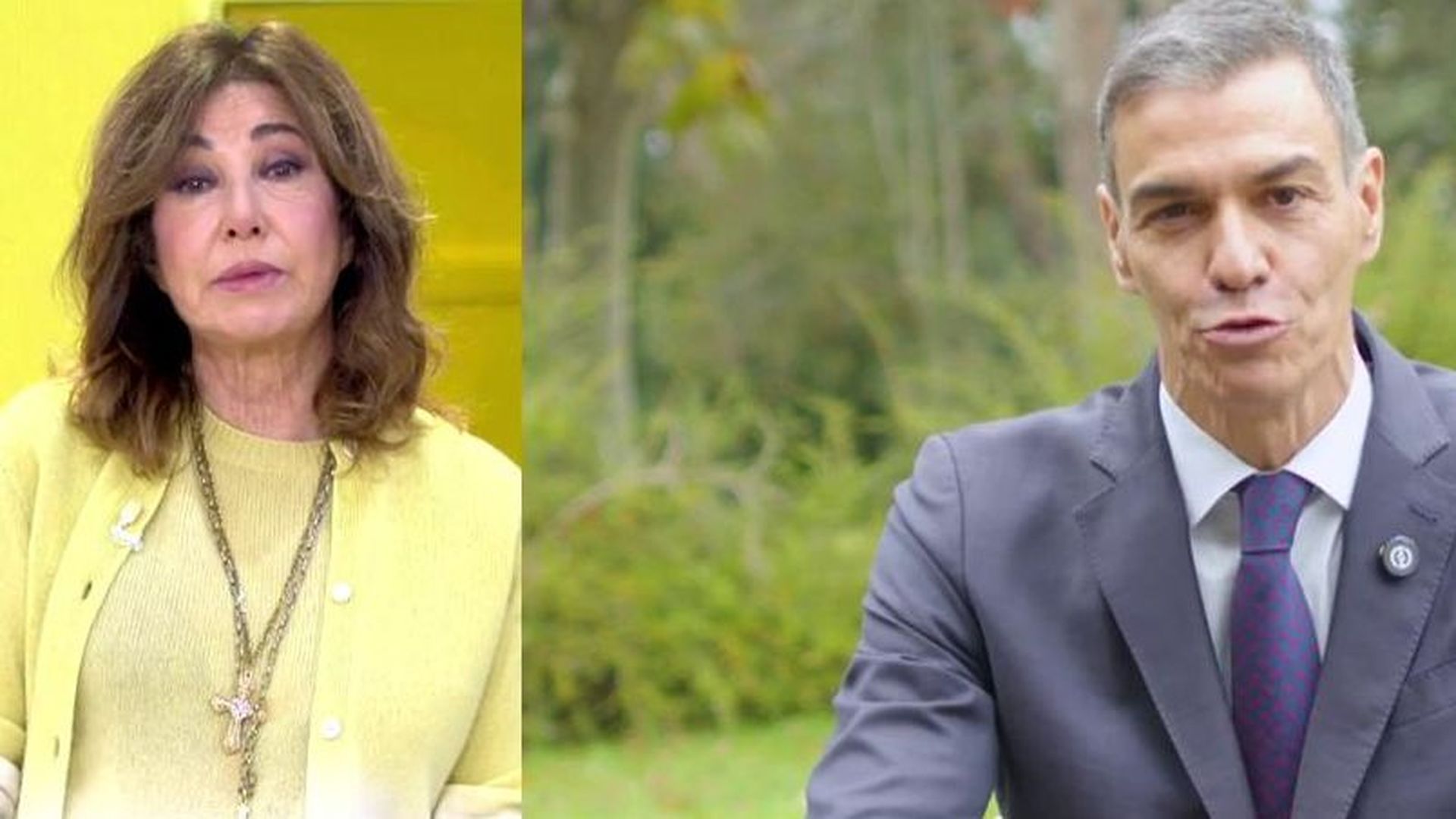 Ana Rosa, del gobierno de Sánchez: "Se cumplen dos años desde que Pedro Sánchez perdiera las elecciones"