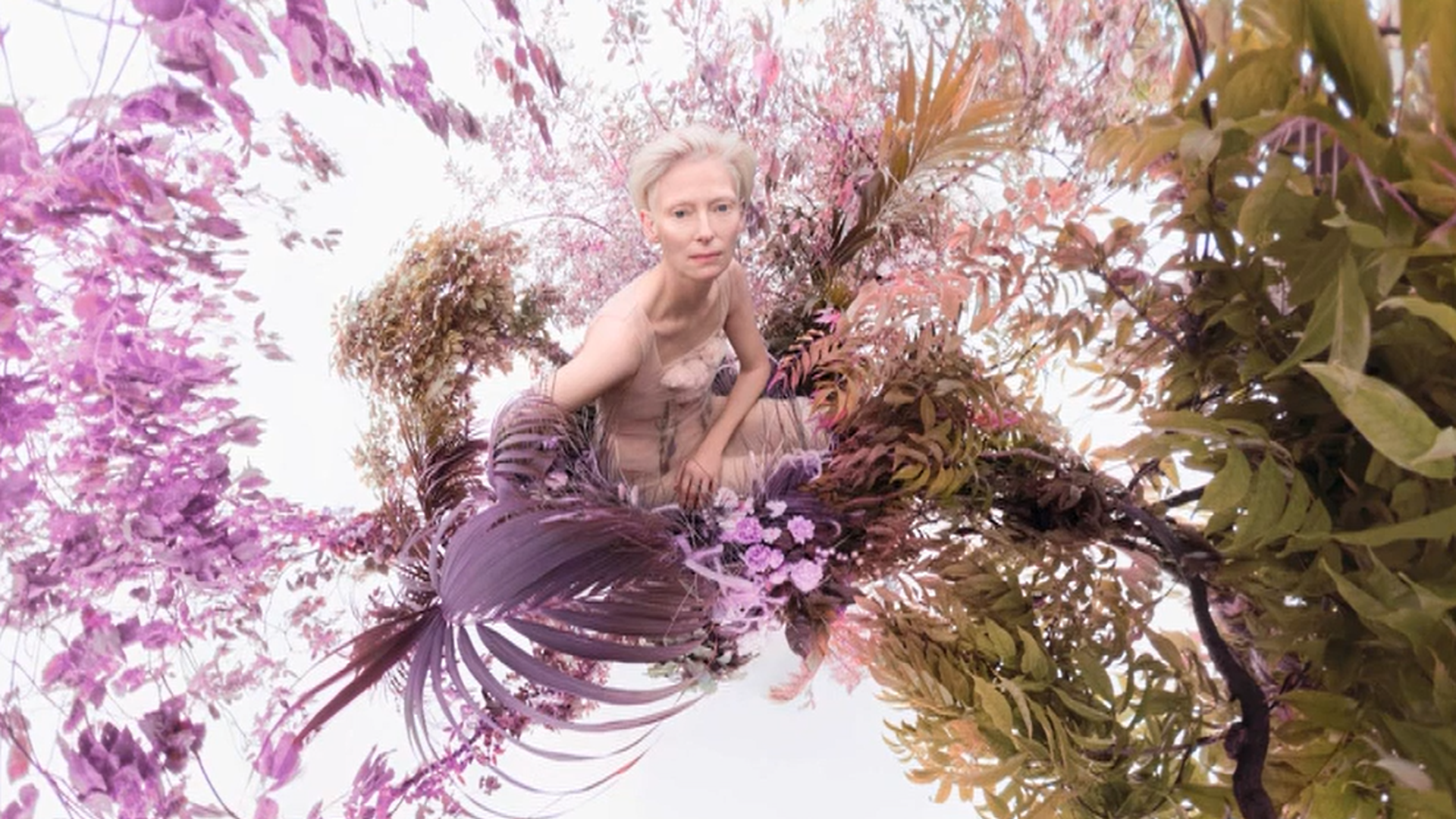 Captura de pantalla 2025-11-17 162620