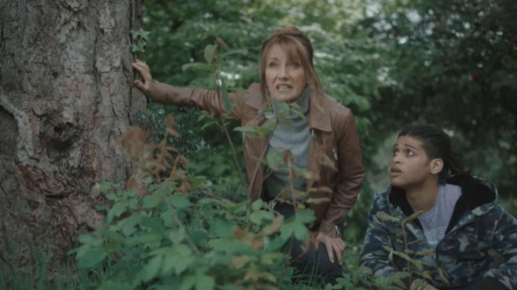 Muy pronto, gran estreno de 'Harry Wild' con Jane Seymour