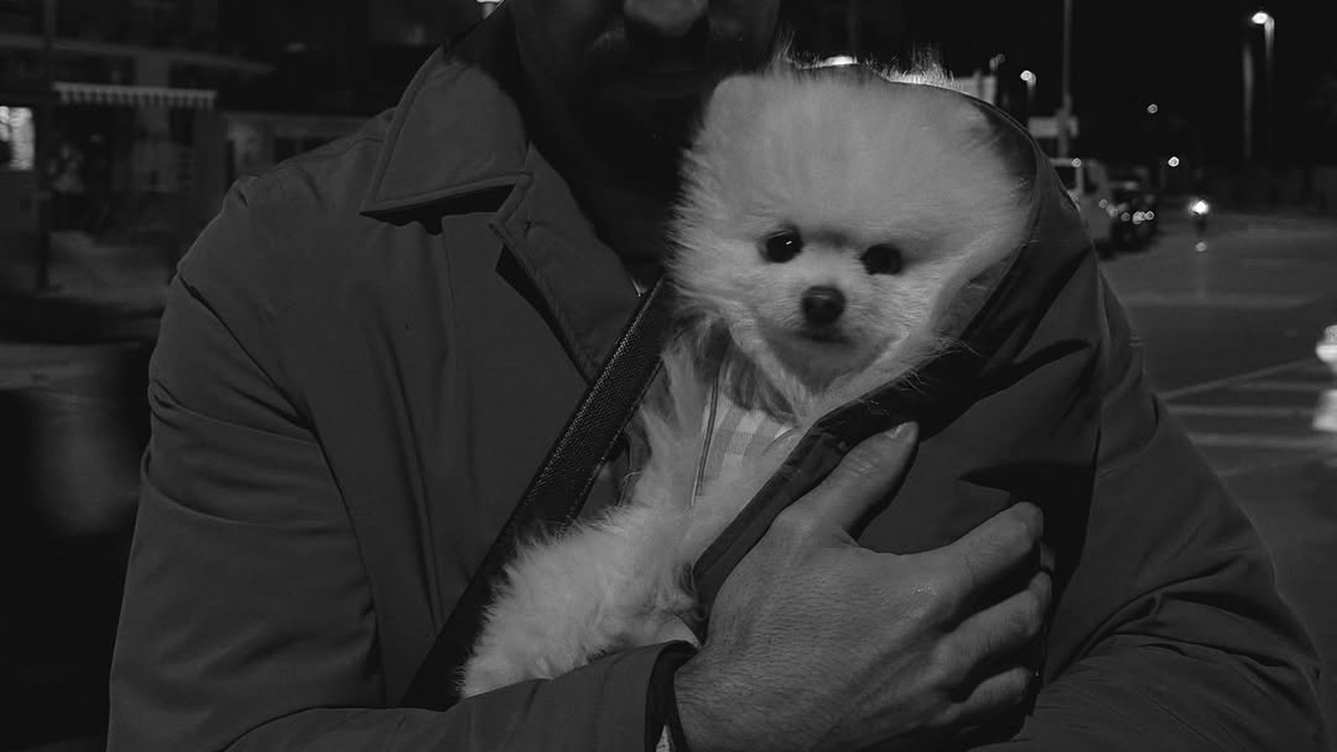 La primera imagen de Mario Casas en redes de Melyssa Pinto, junto a su perro Romeo