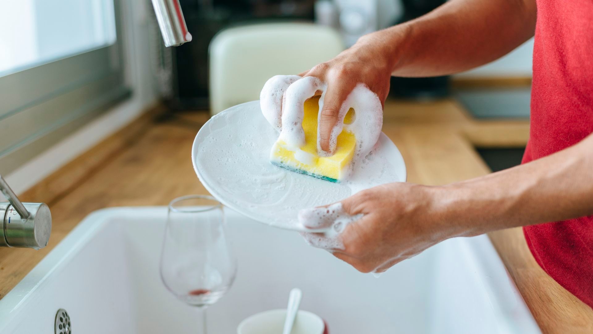 Cada cuánto hay que cambiar el estropajo