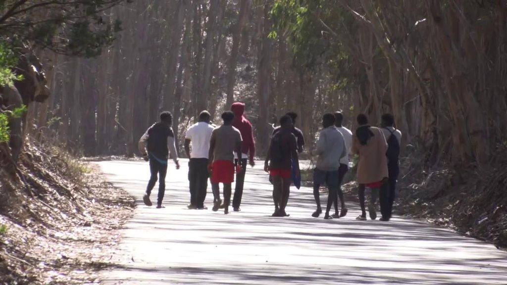 Continúa la búsqueda de 14 menores migrantes desaparecidos en Canarias tras desmantelarse una red de tráfico de personas: hay 11 detenidos