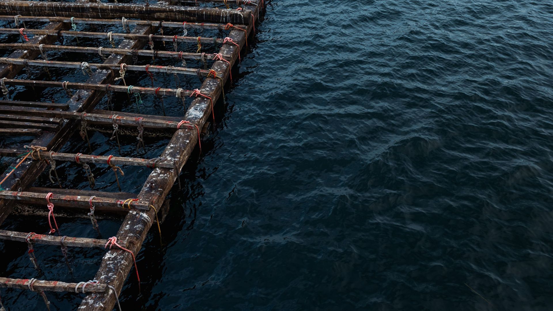 Imagen de archivo de una batea en Pontevedra