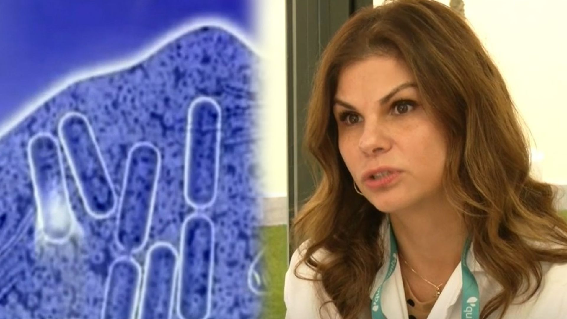 La gripe A se acelera en Galicia y Cataluña mientras acecha una mutación: "Aunque la vacuna no proteja del todo, siempre protege una parte"