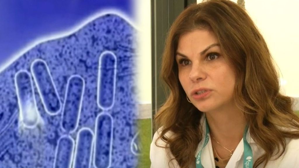 La gripe A se acelera en Galicia y Cataluña mientras acecha una mutación: "Aunque la vacuna no proteja del todo, siempre protege una parte"