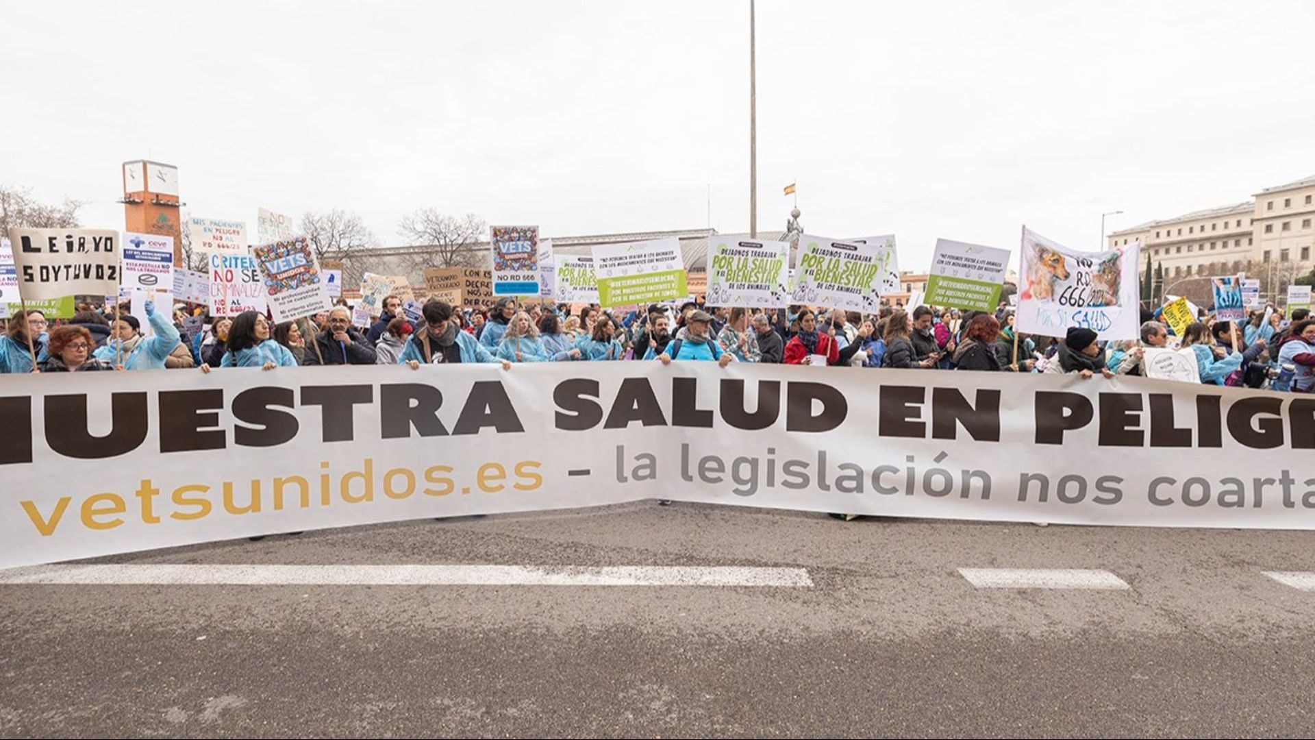 Manifestación de los veterinarios frente al Ministerio de Agricultura
