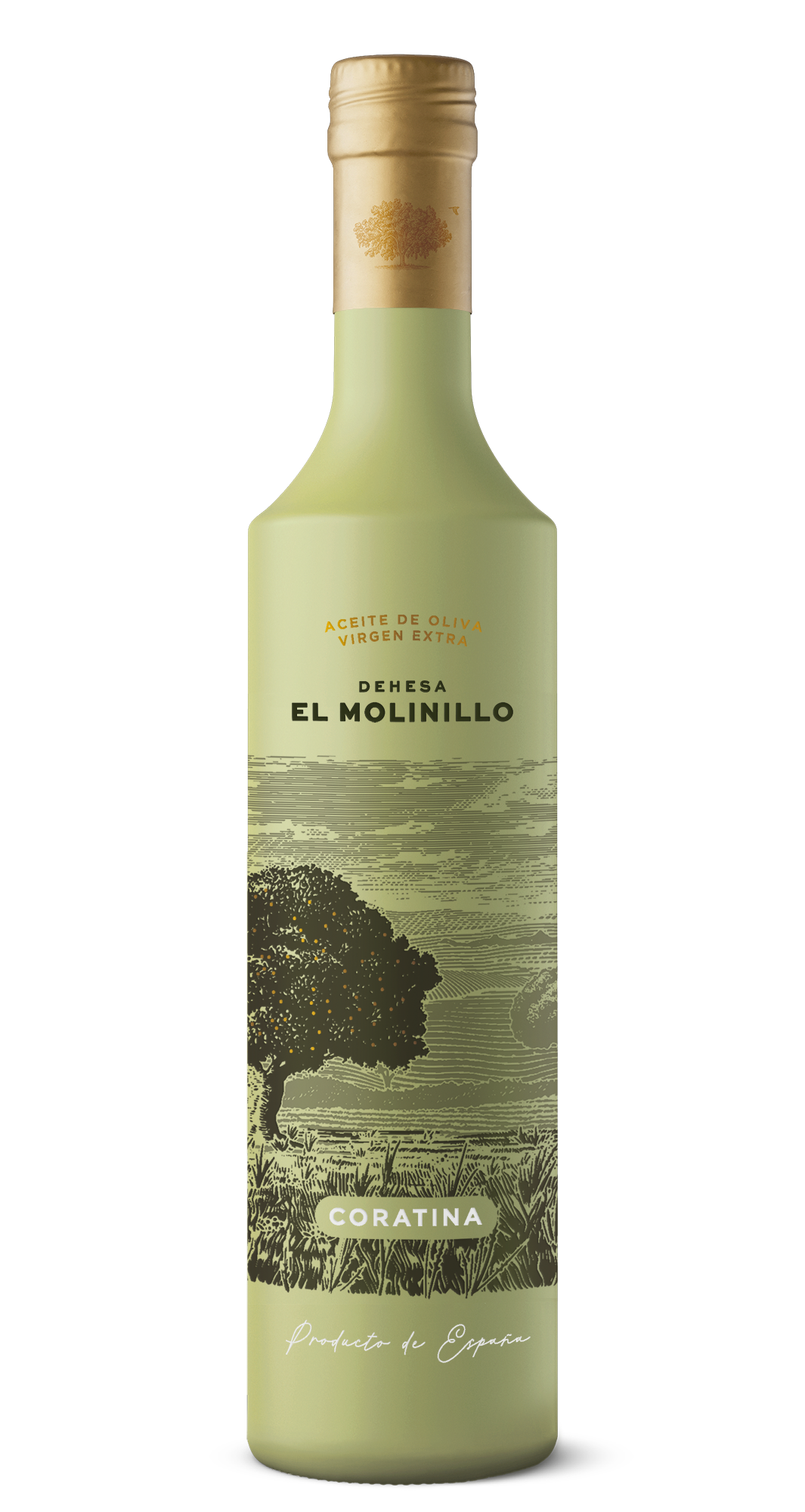 Aceite Coratina, elegido por la revista Evooleum como el mejor y más saludable del mundo