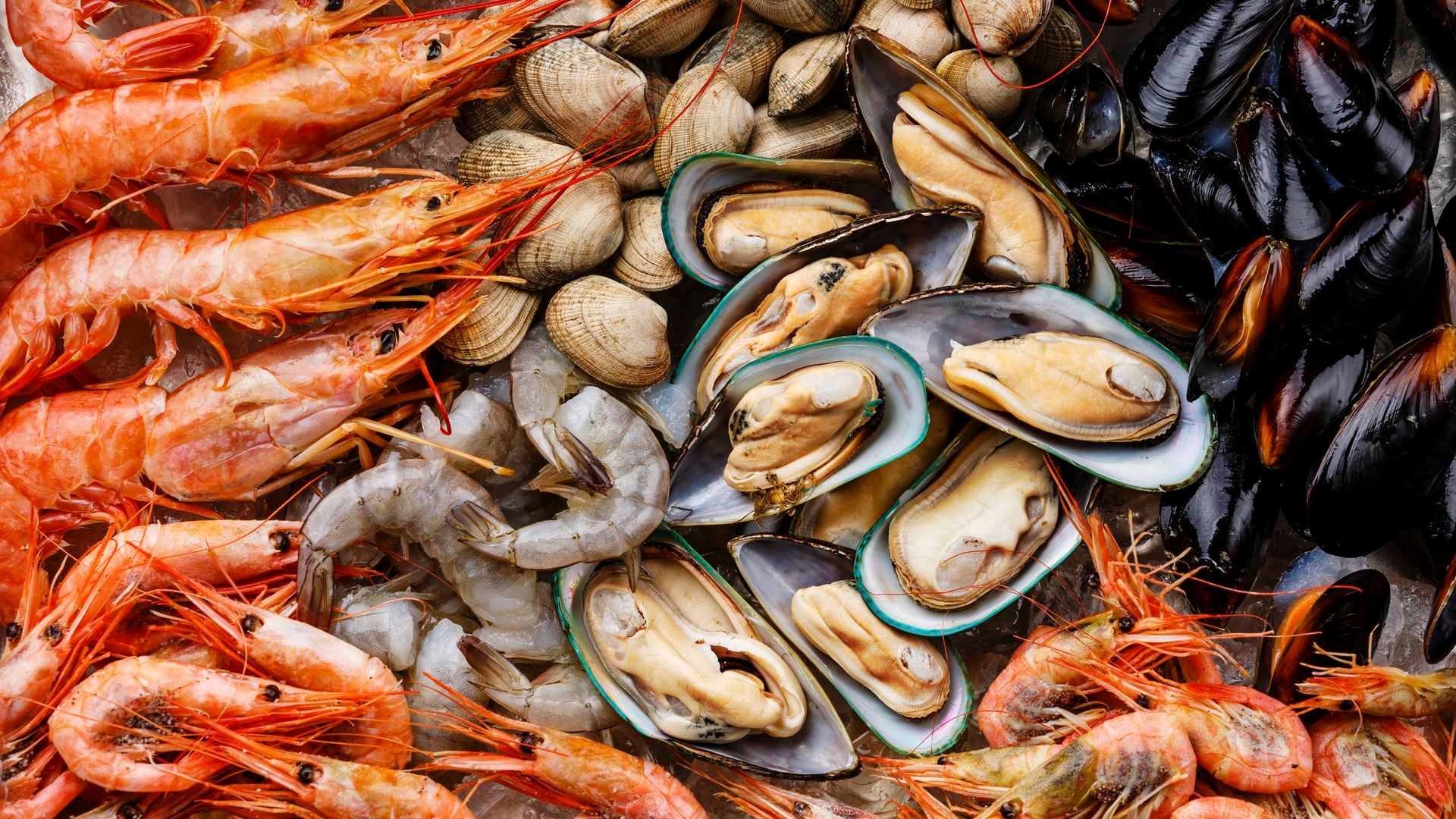 Cada tipo de marisco debe congelarse de una forma concreta