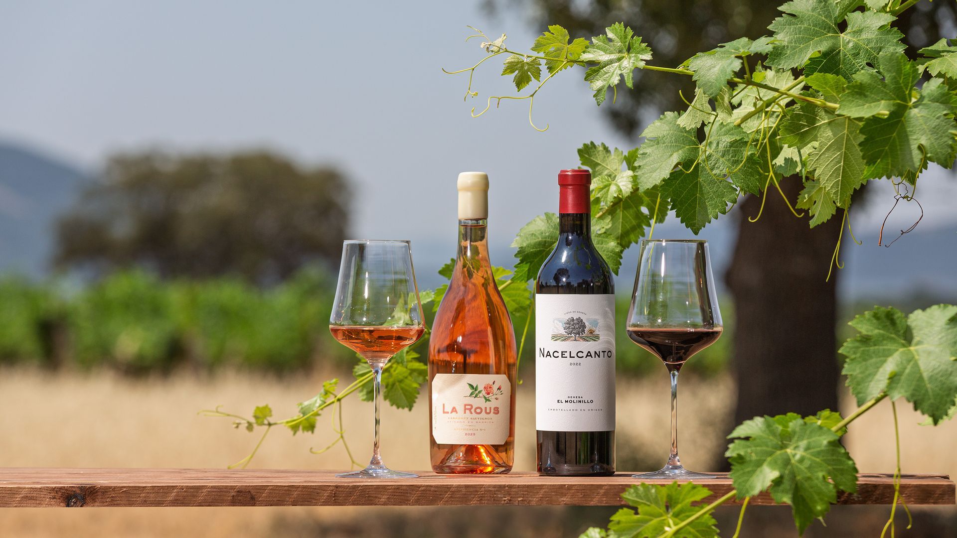 La Rous y Nacelcanto